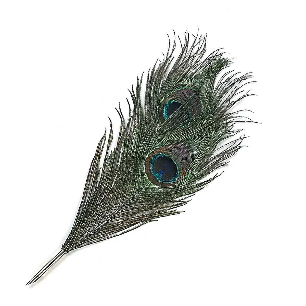 quill.webp