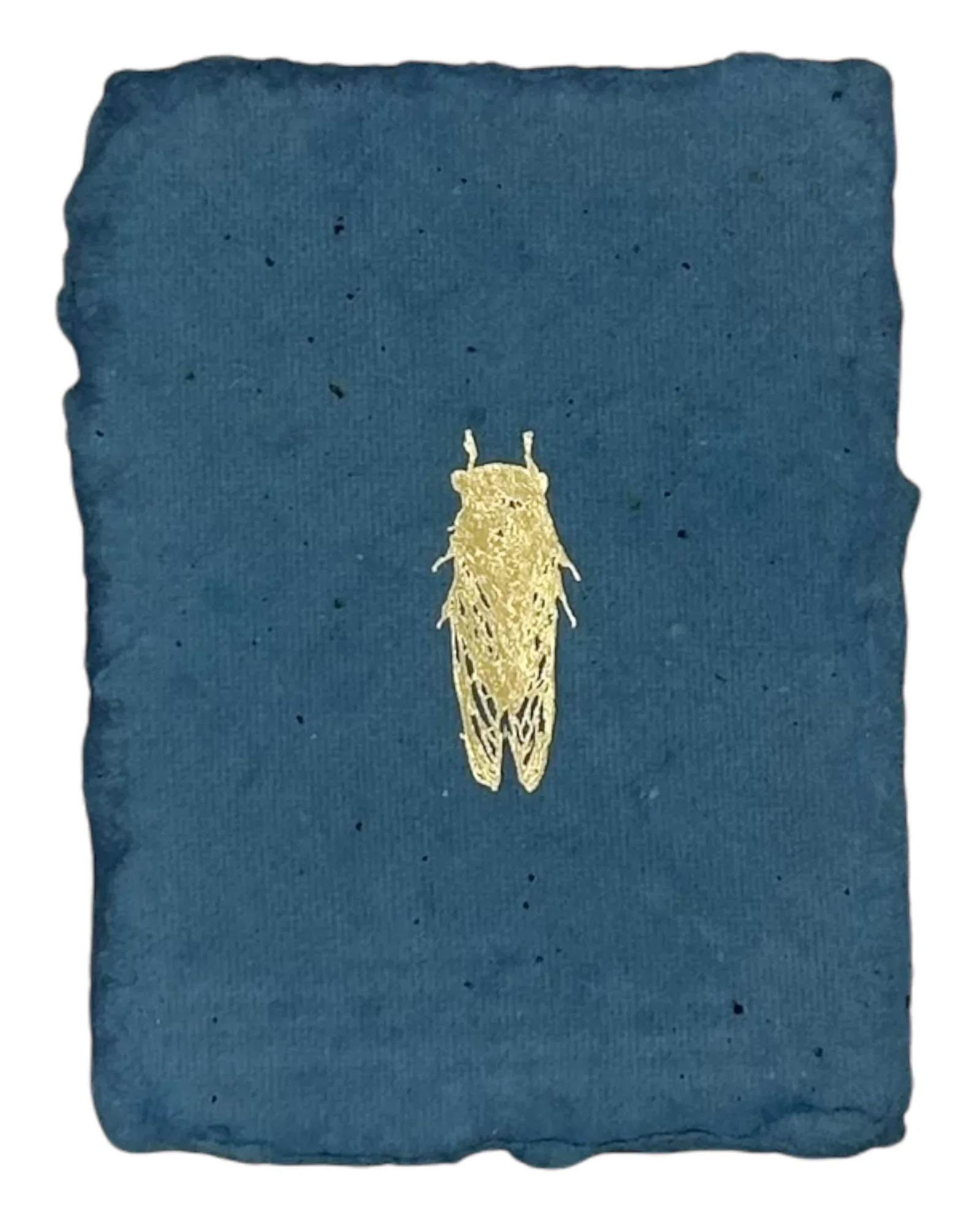 Cicada notecard_farmette.webp