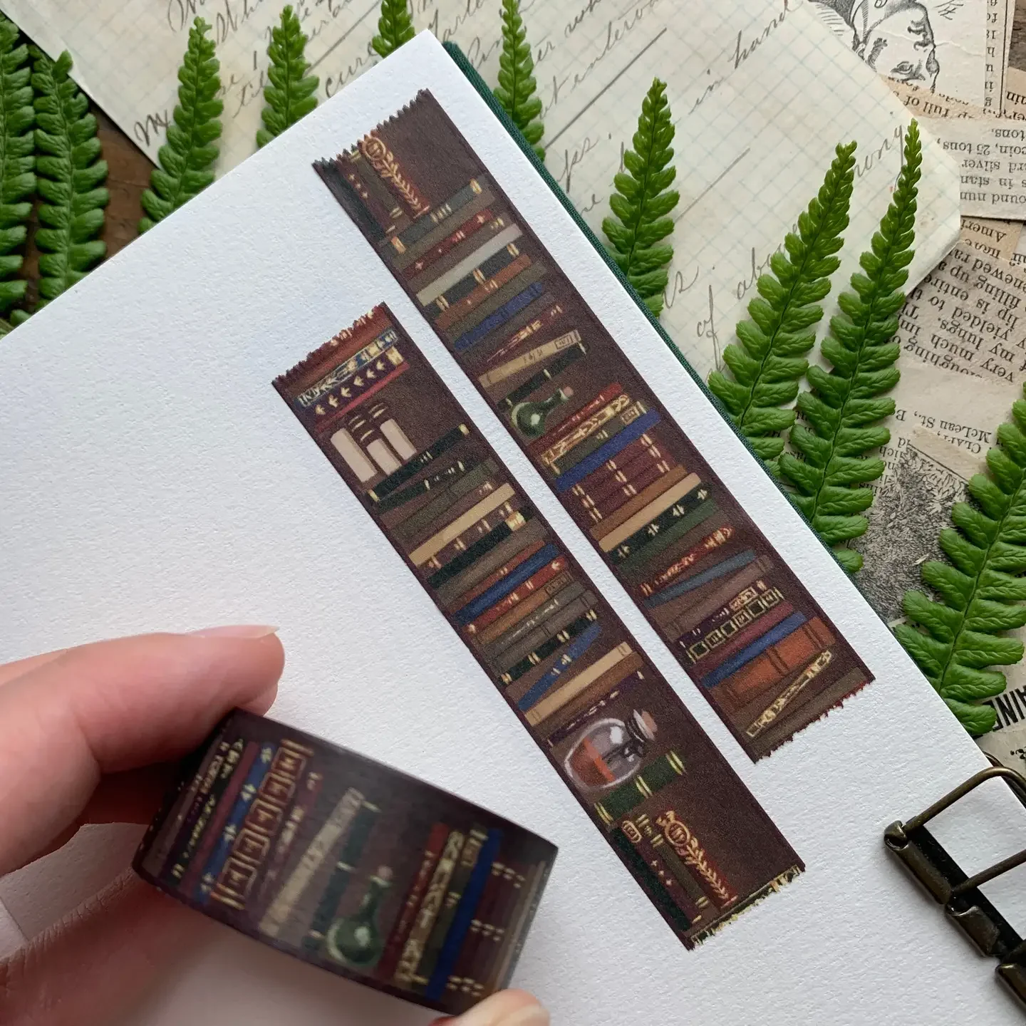 bookshelf washi.webp
