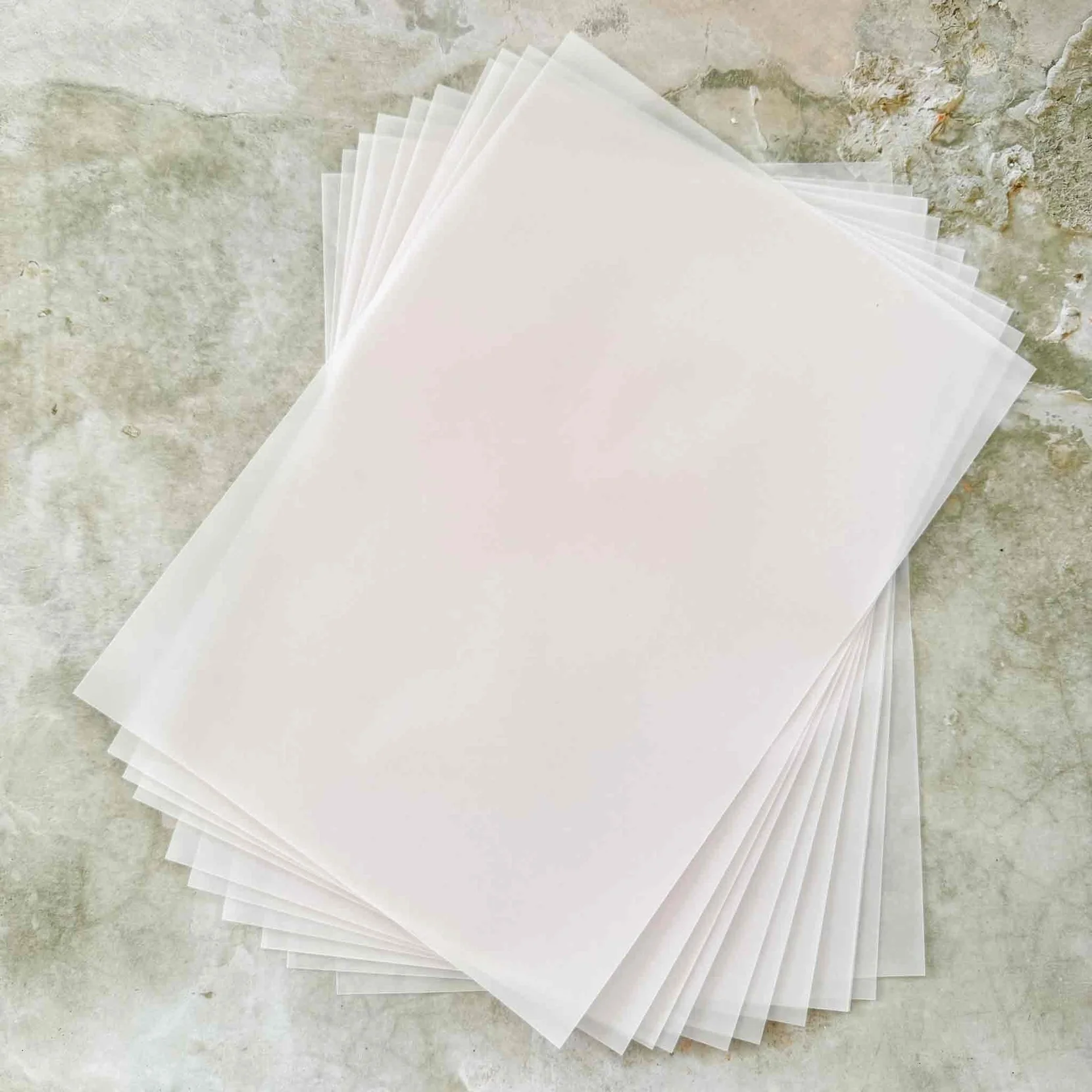 Vellum.webp