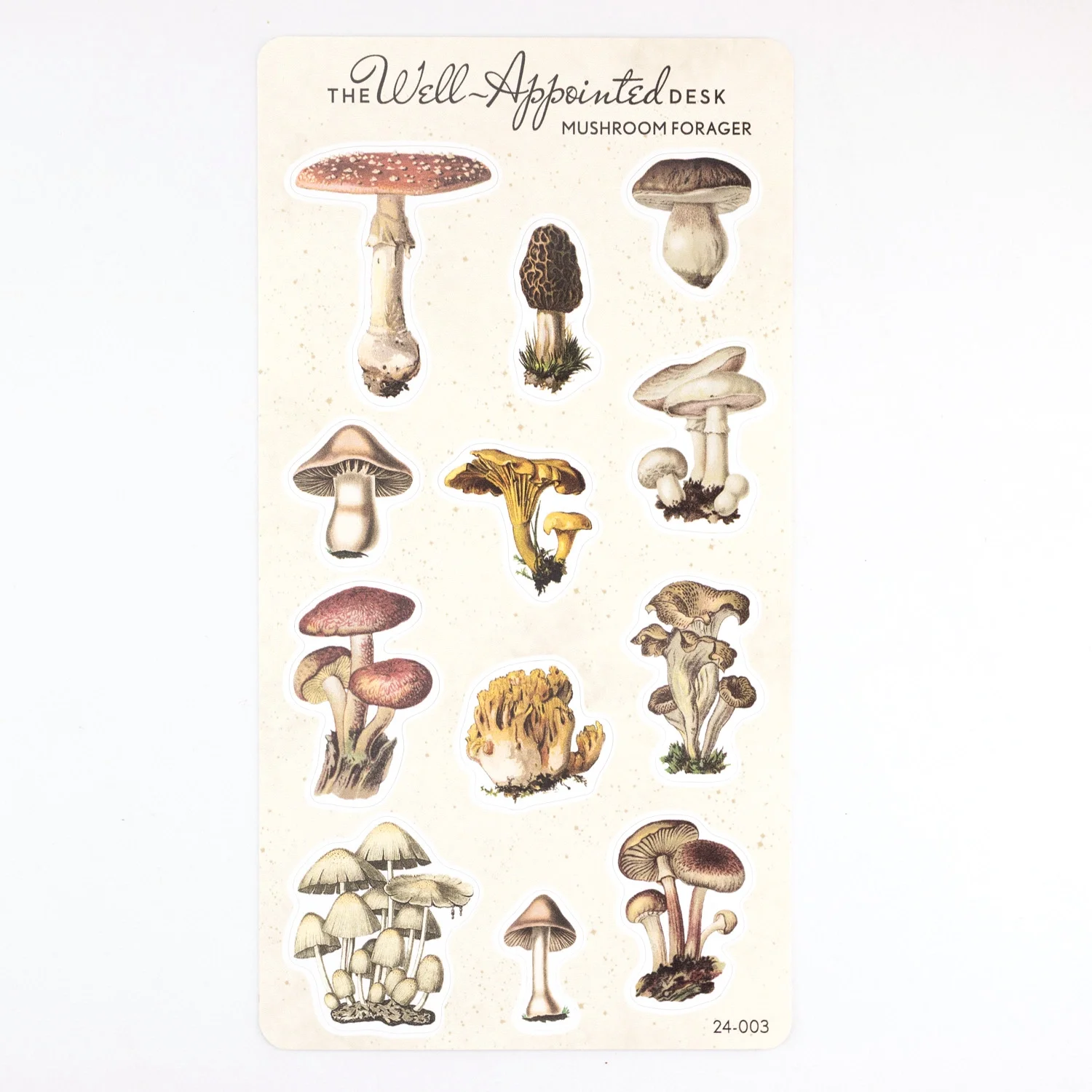 mushrooms stickers.webp