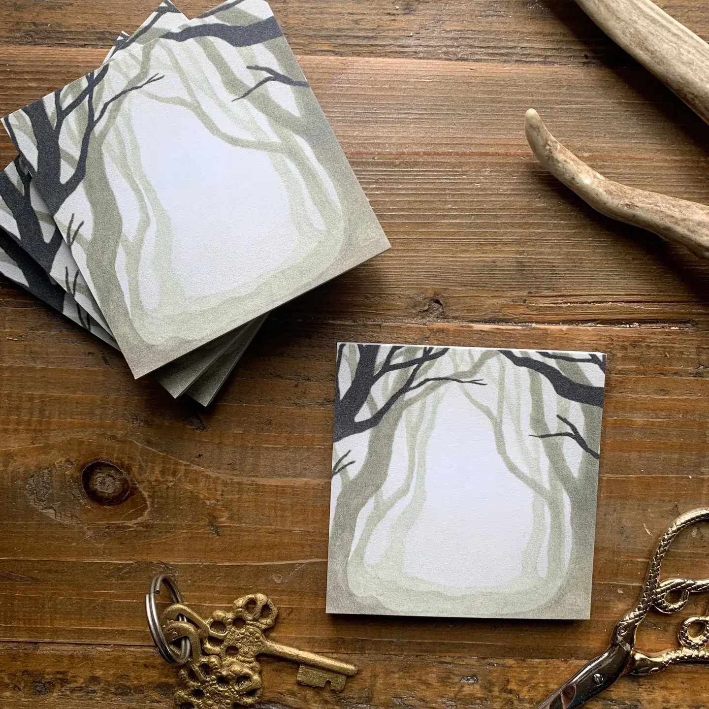 dark forest notes.webp