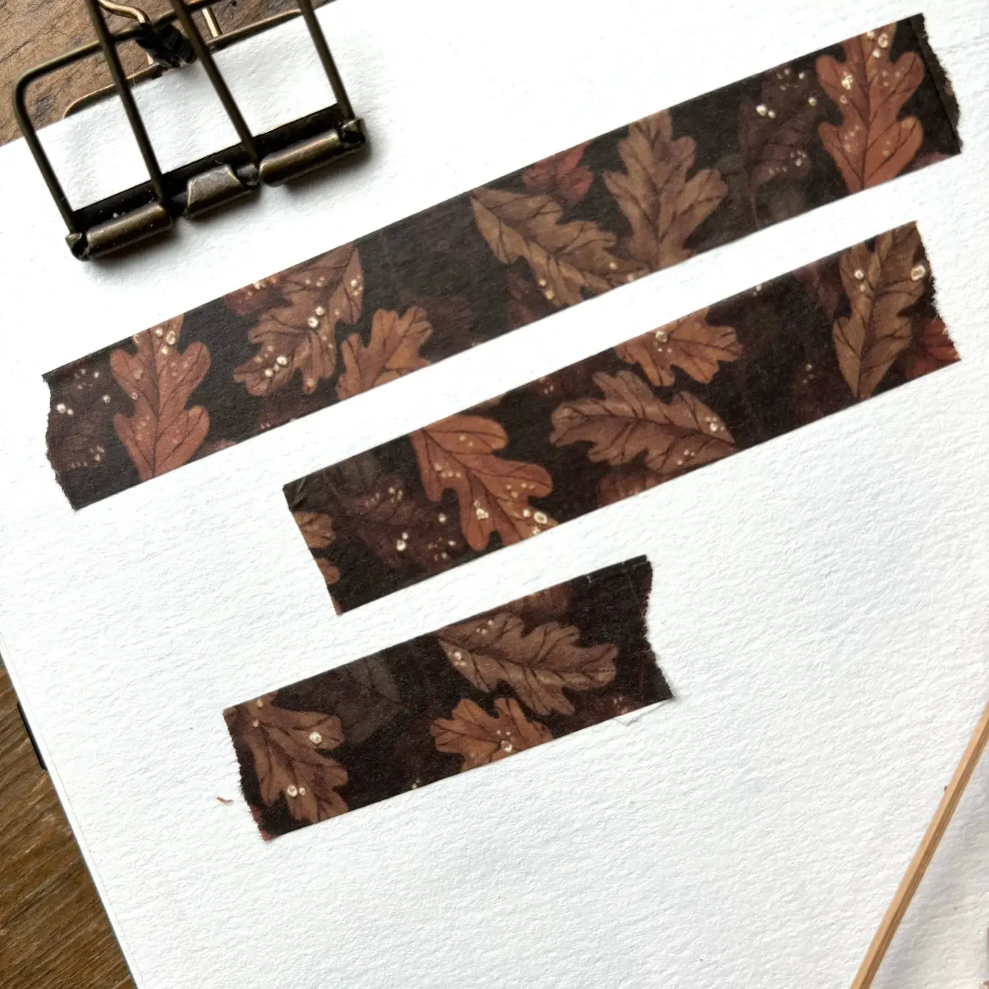 autumn washi.webp