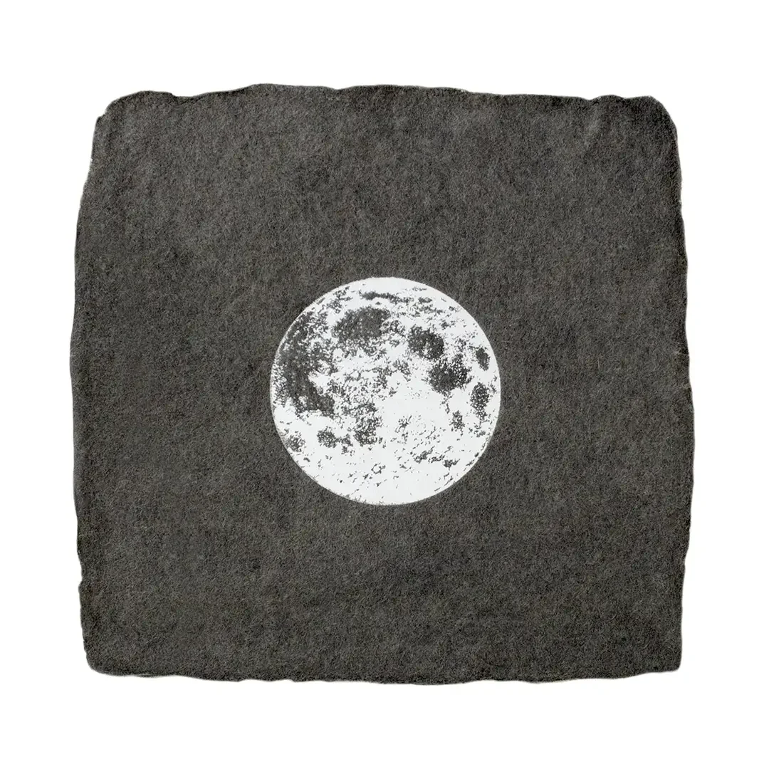 moon token.webp