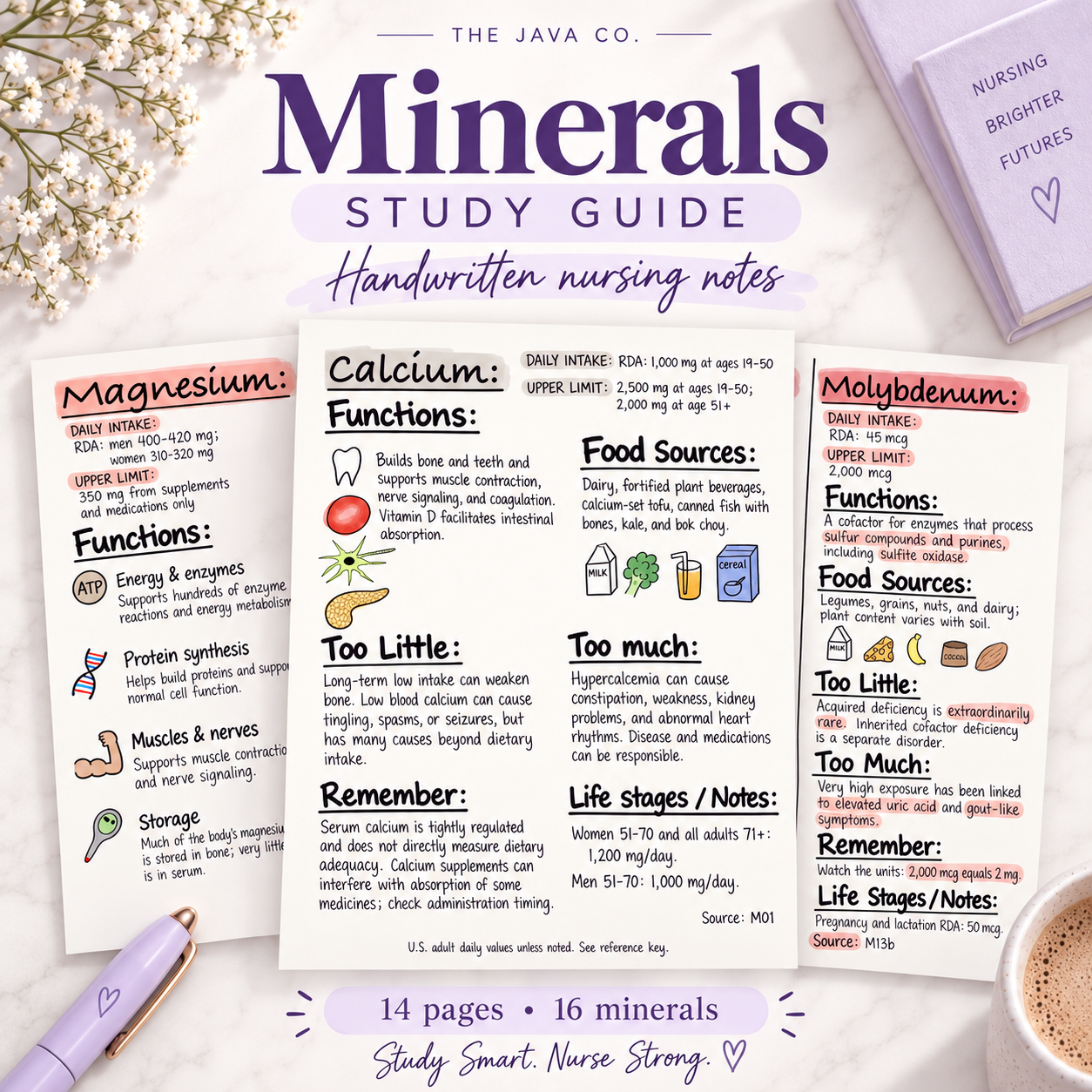 Minerals nursing study guide cover featuring illustrated, handwritten-style notes on calcium, phosphorus and magnesium
