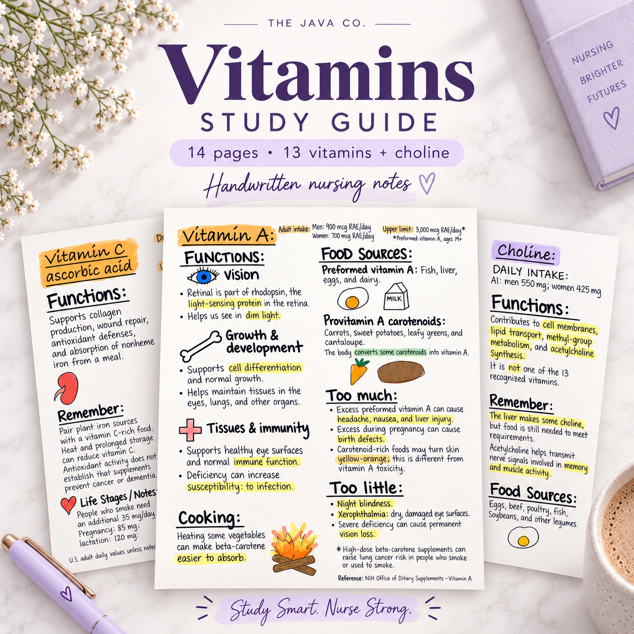 Vitamins Study Guide | PDF Download