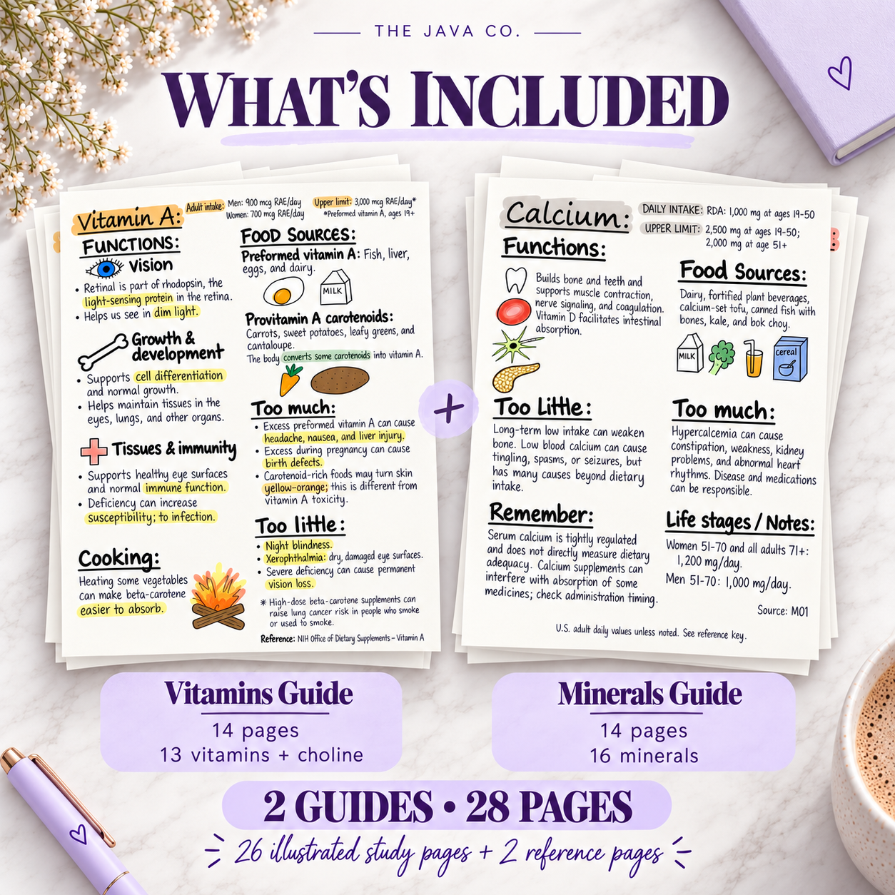 Bundle contents: two study guides totaling 28 pages, including 26 illustrated study pages and two reference pages