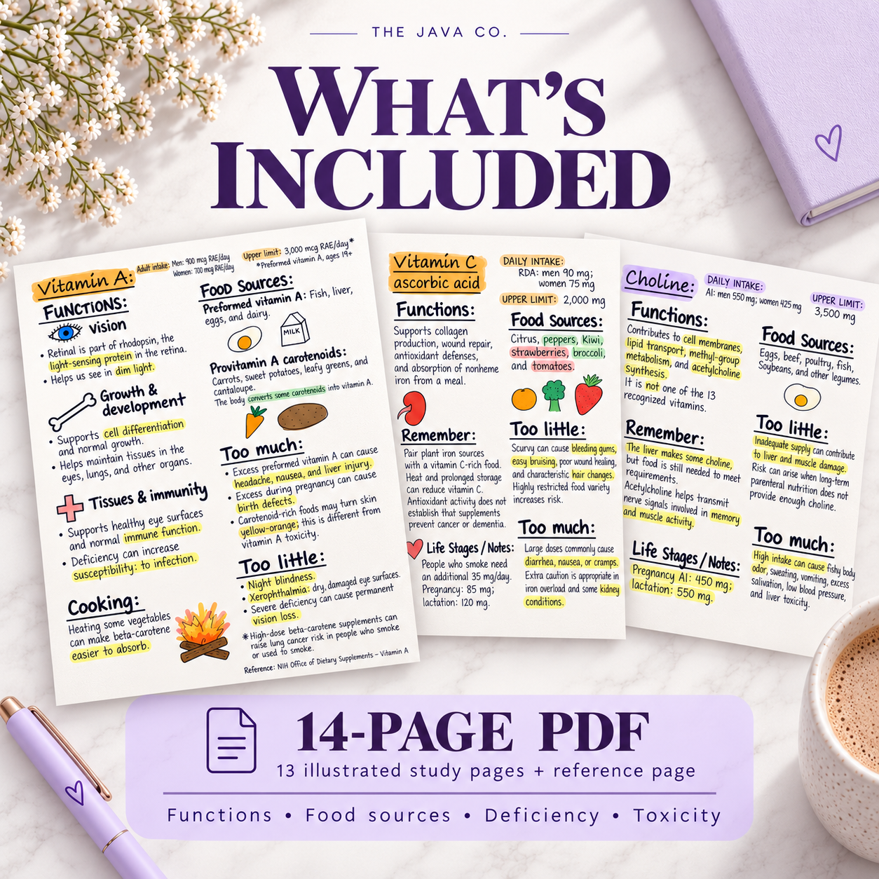 Preview of the 14-page vitamins PDF, including 13 illustrated study pages and one reference page.