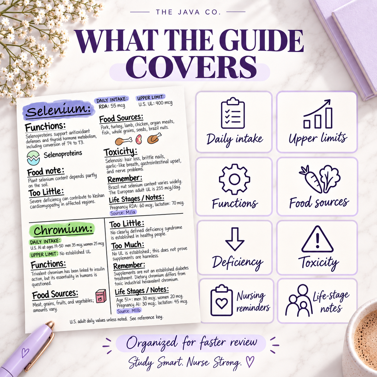 Guide topics include daily intake, upper limits, functions, food sources, deficiency, toxicity, nursing reminders and life-stage notes