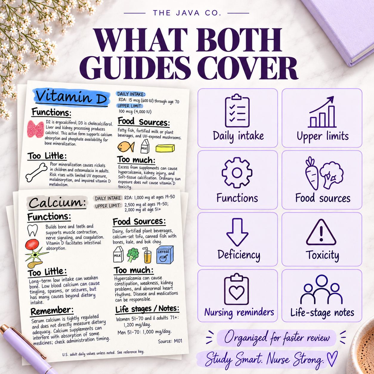 Both guides cover daily intake, upper limits, functions, food sources, deficiency, toxicity, nursing reminders and life-stage notes.