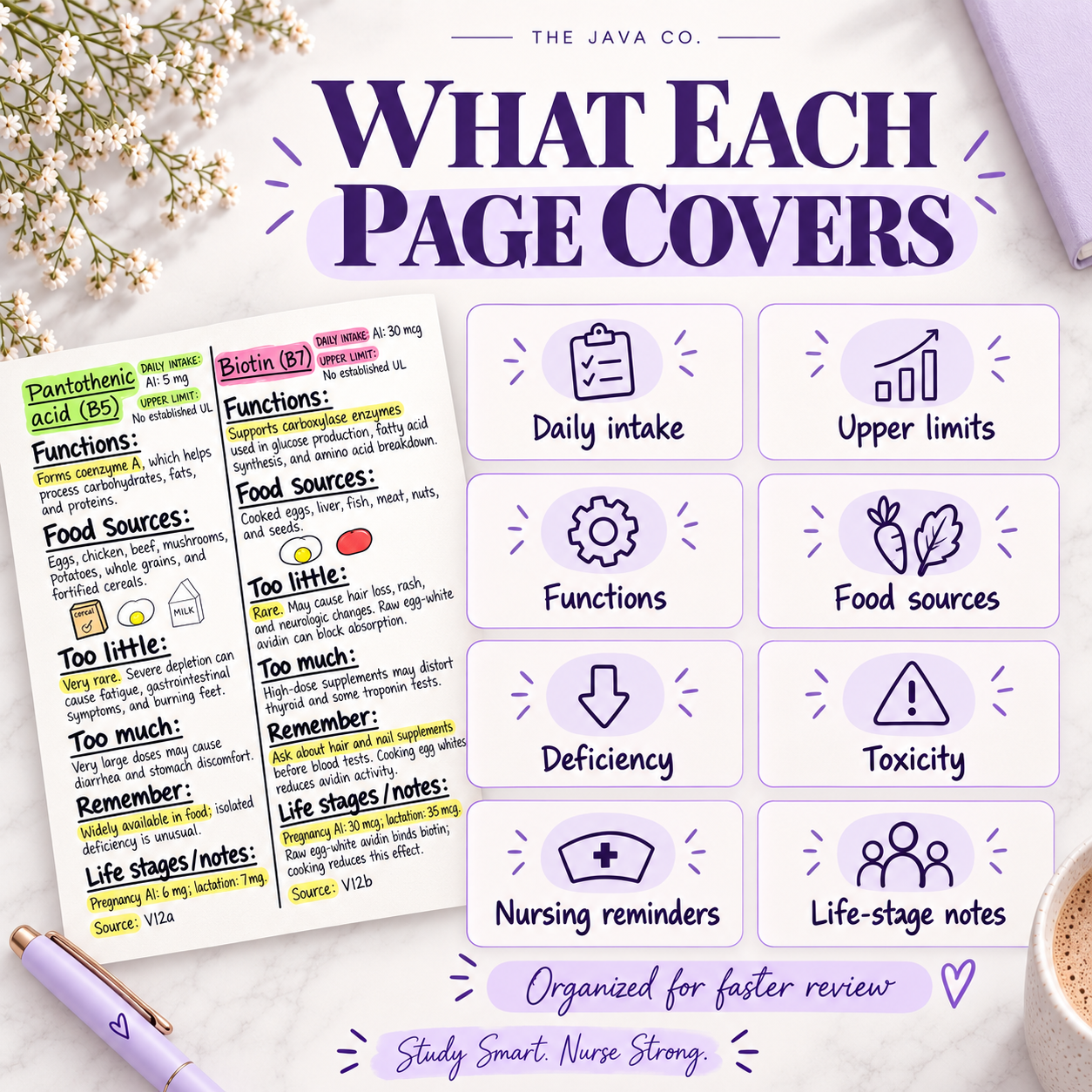 Guide topics include daily intake, upper limits, functions, food sources, deficiency, toxicity, nursing reminders and life-stage notes