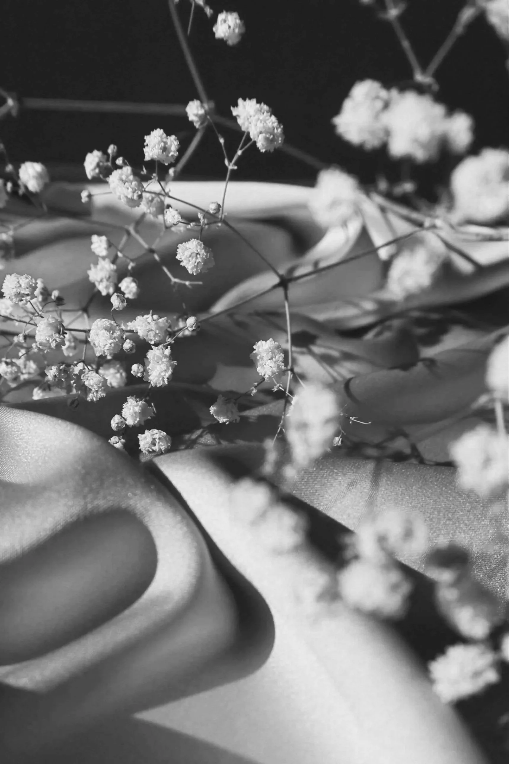 Close-up of small, delicate flowers with thin stems, possibly baby's breath, in a black and white photograph, with some blurred leaves in the background.