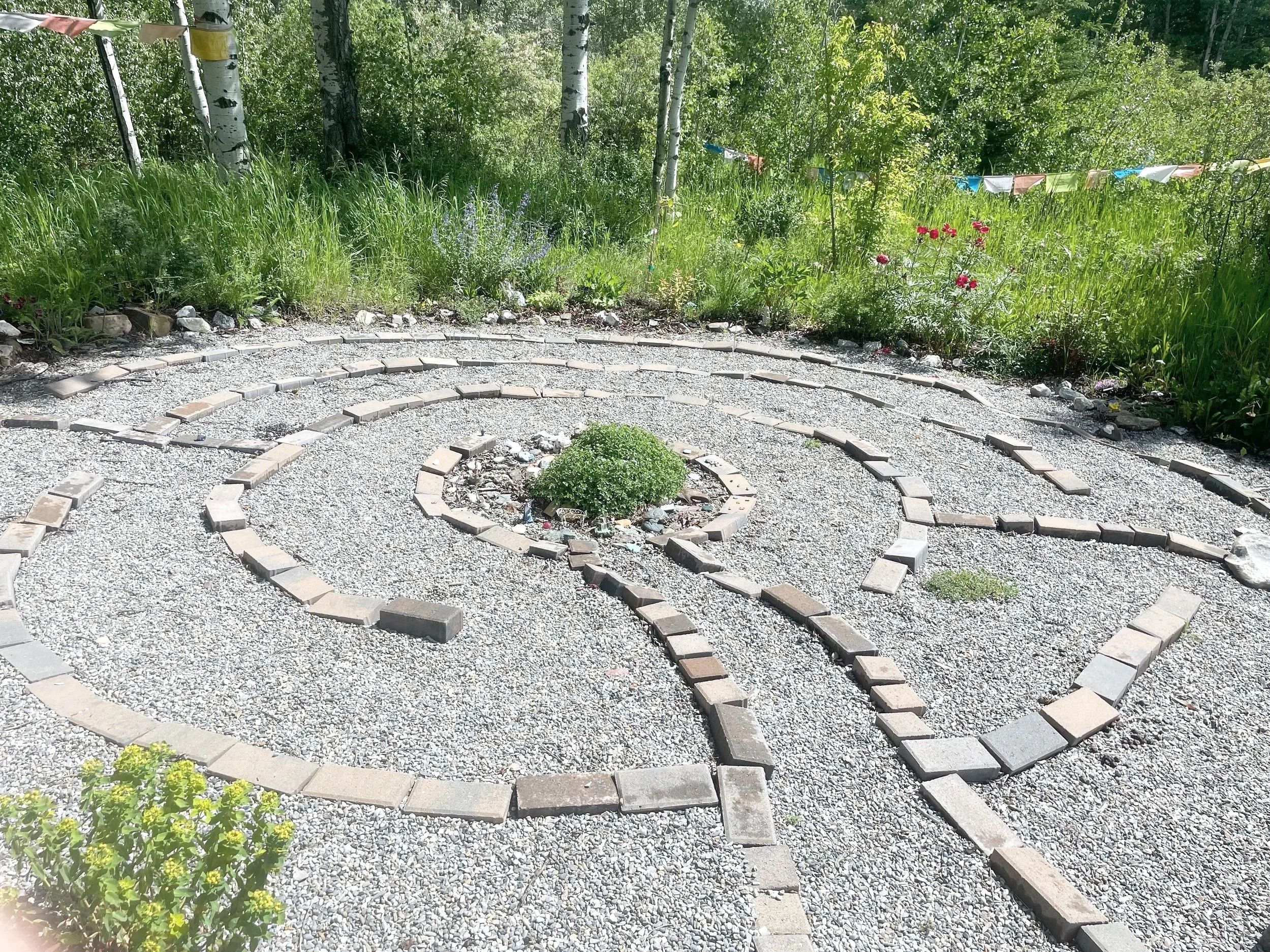 A circular garden bed with a bush in the center, surrounded by a stone and gravel pattern, situated in a lush green outdoor area with trees and flowering plants.