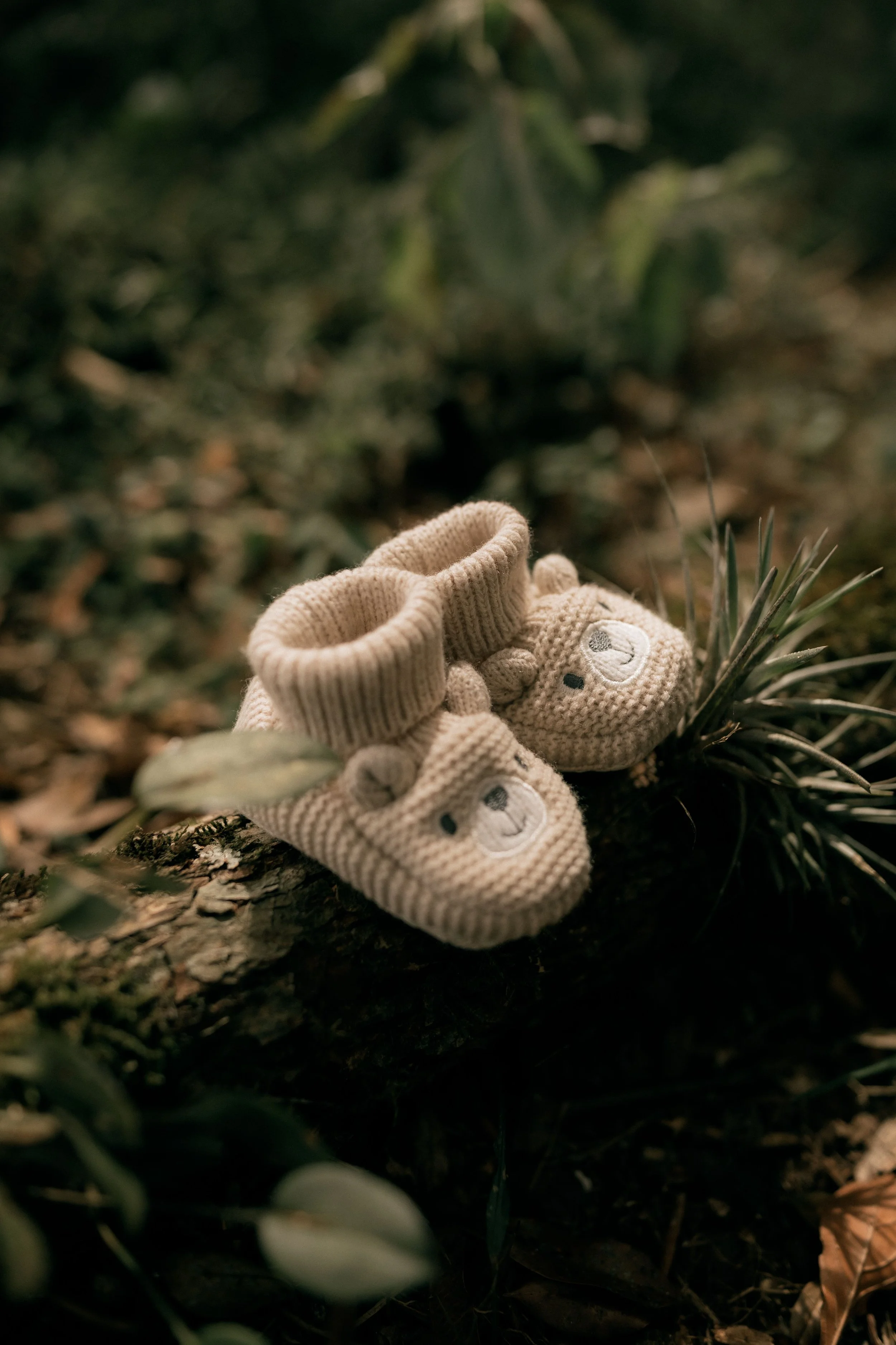 A pair of beige knit baby booties with a bear face design, placed on a log outdoors surrounded by green plants and fallen leaves.