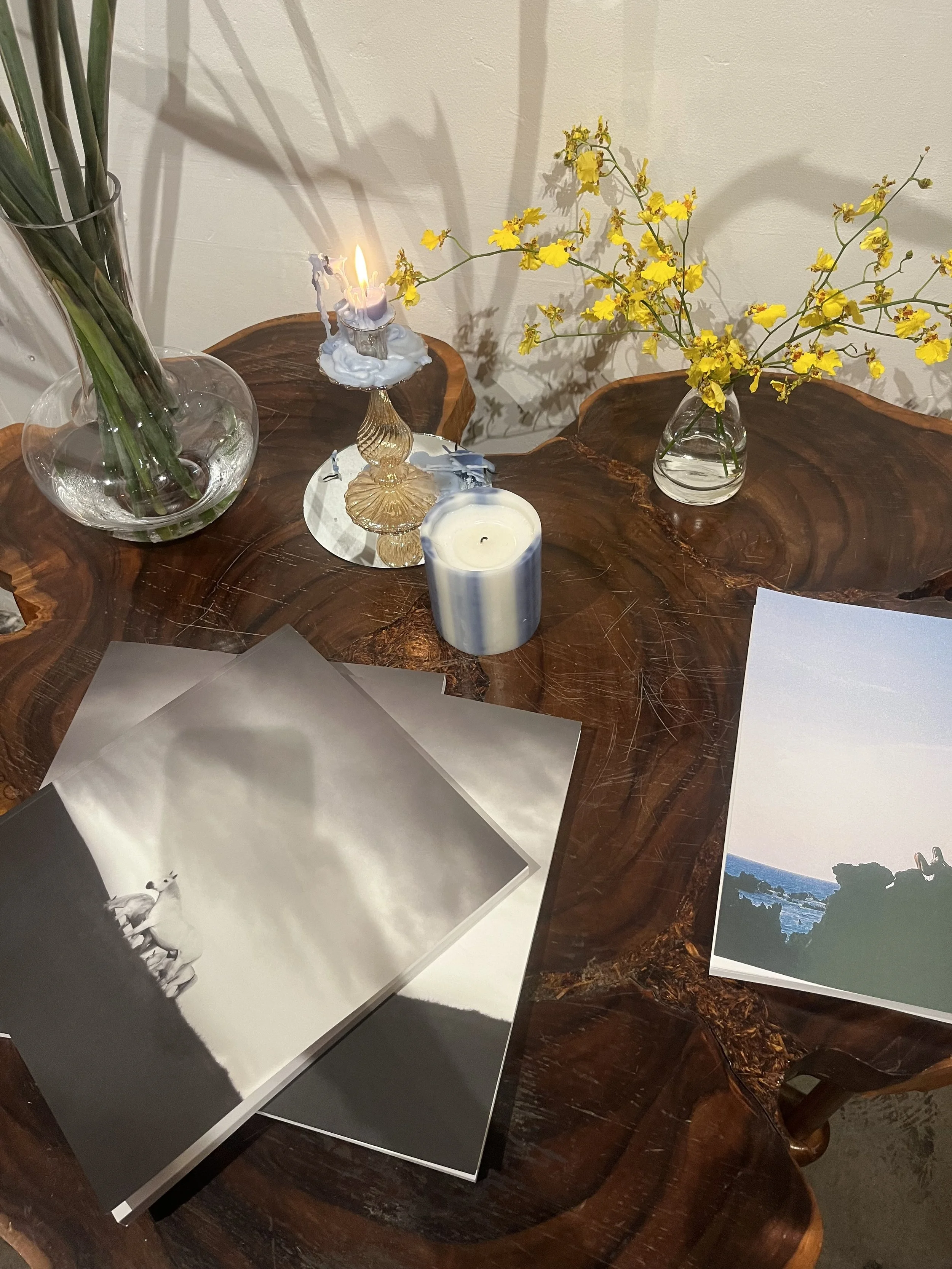 A wooden table with a glass vase containing green plant stems, a lit candle in a glass holder with melting wax, a white candle, and photographs including a black-and-white image of a dog and a color picture of a coastal scene.