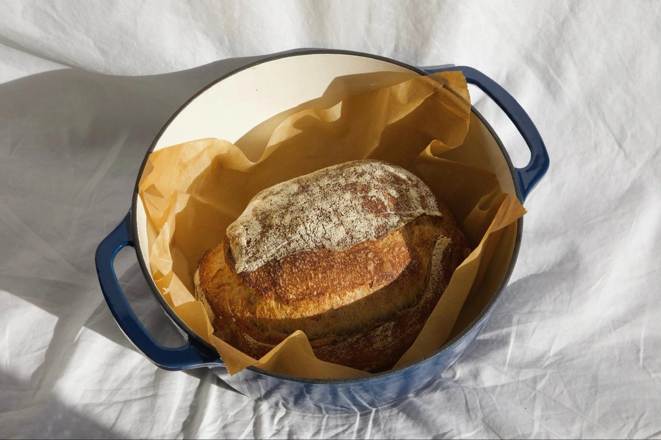 A loaf of bread with a dusting of flour in a blue container lined with brown parchment paper.