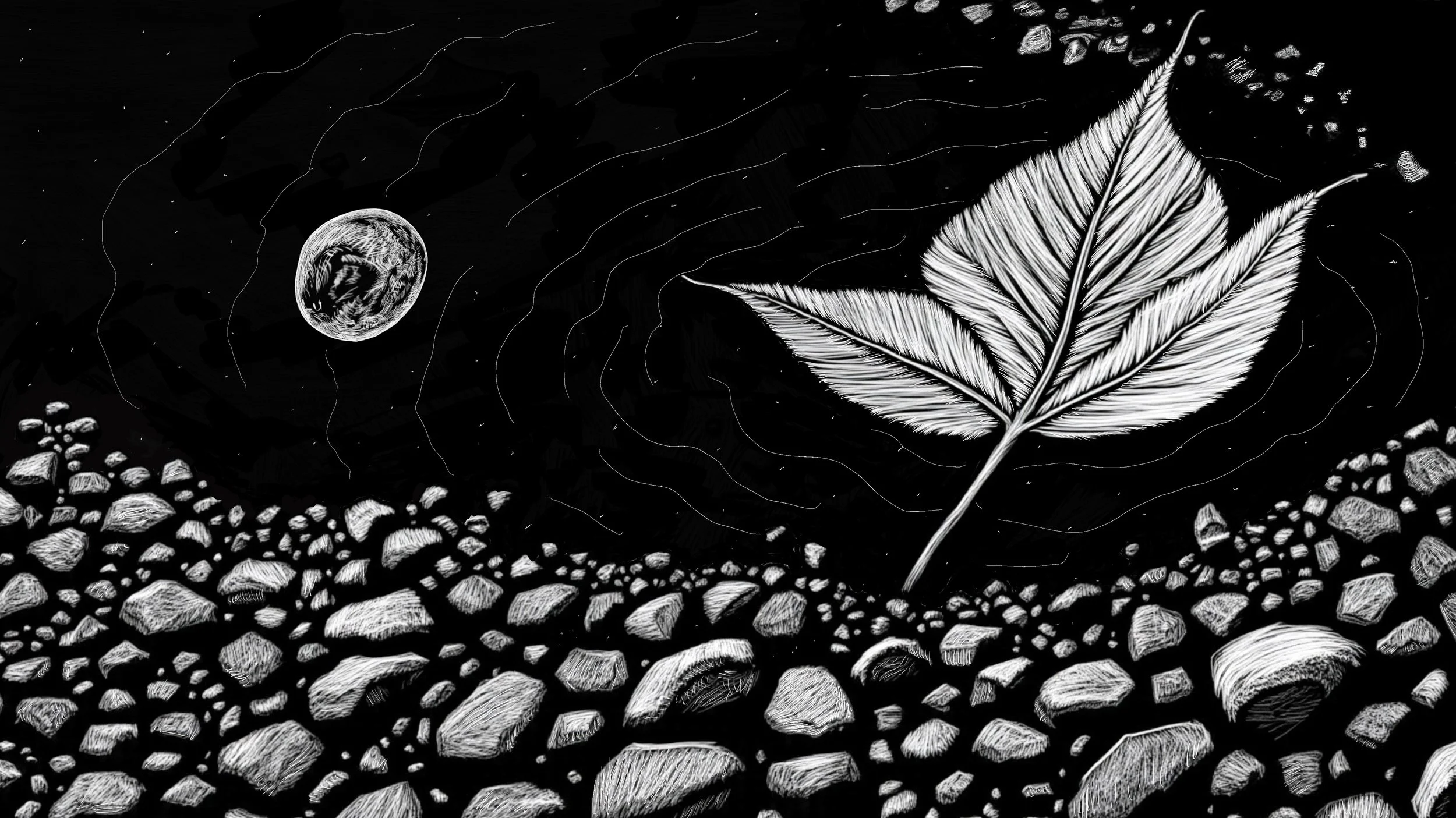 Leaf in Puddle.JPG