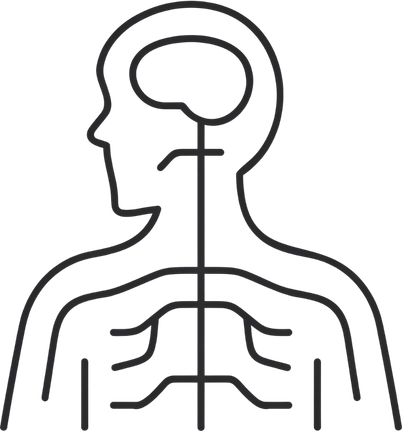 Illustration representing whole-body factors involved in persistent pain