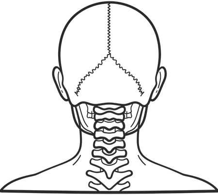 Illustration representing neck pain and cervical spine