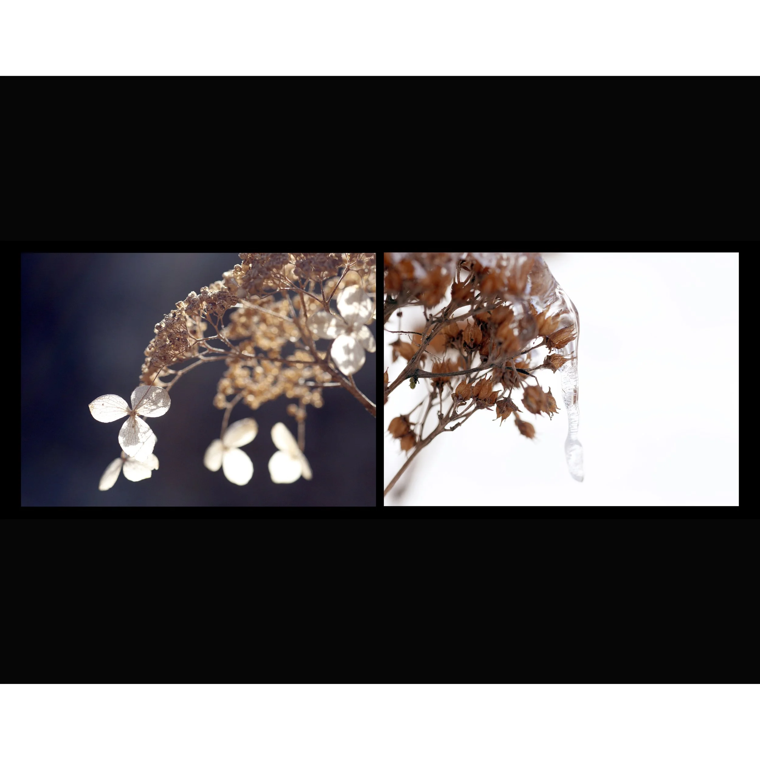 Seasons