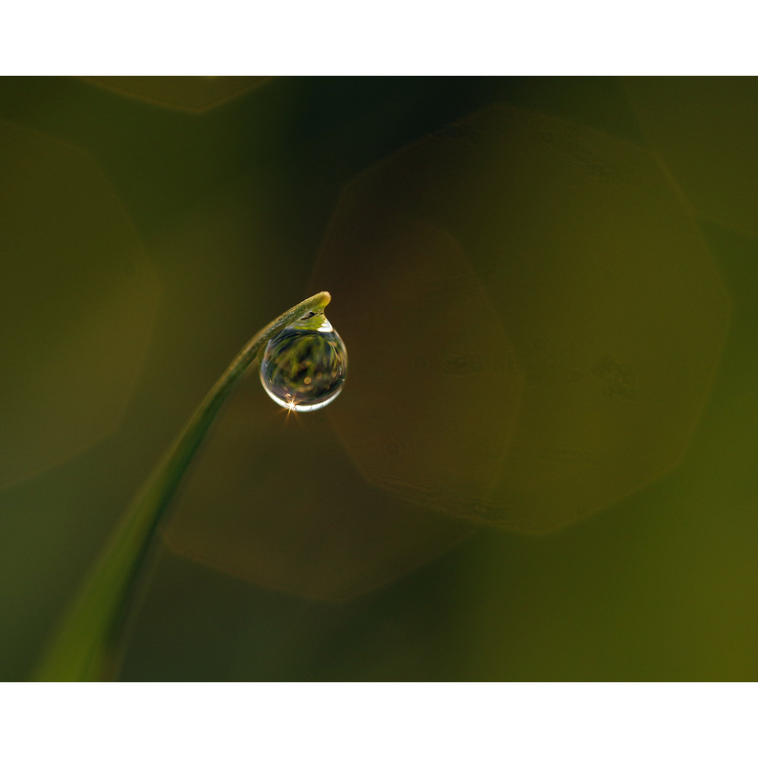 Water Droplet 1