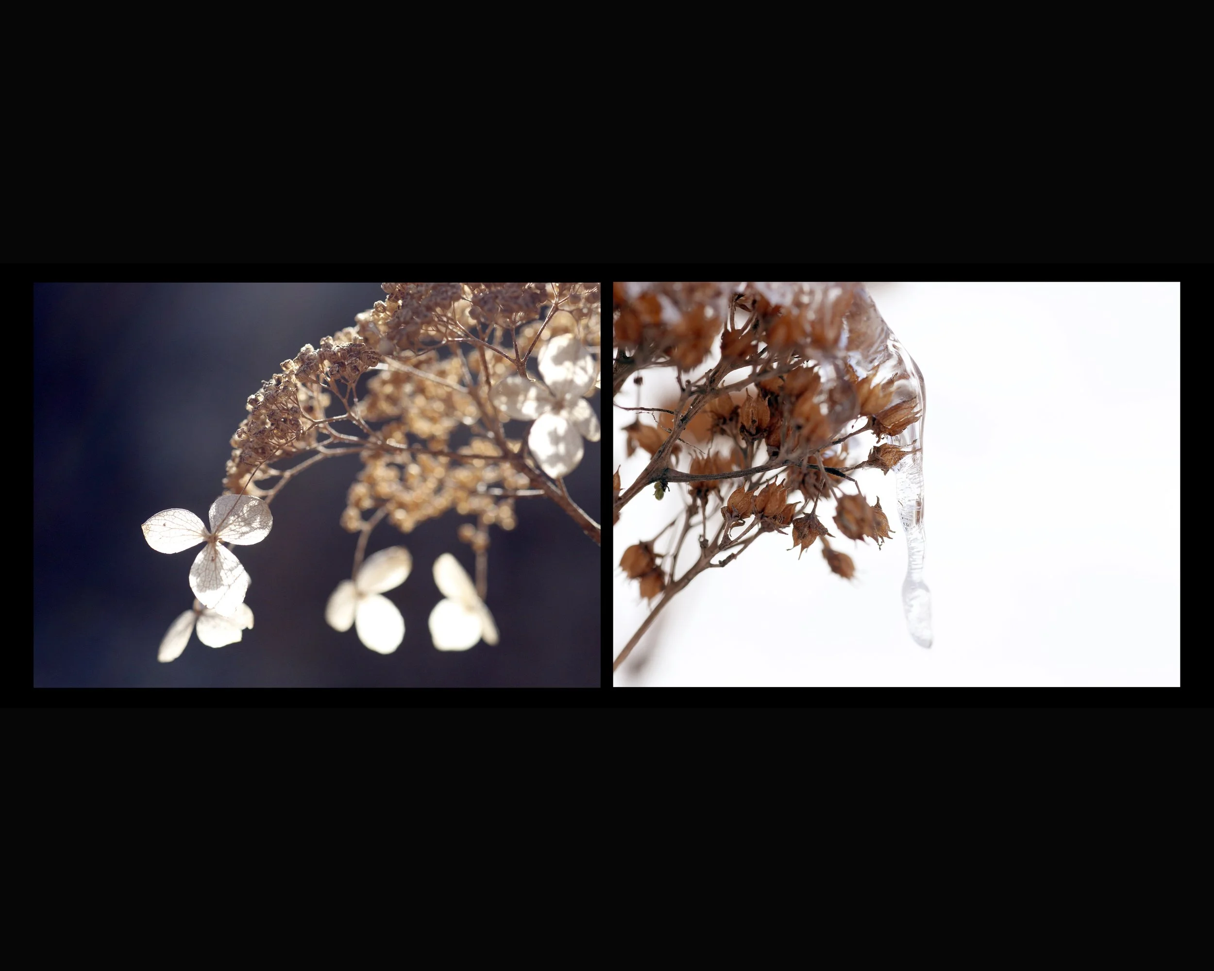 Seasons