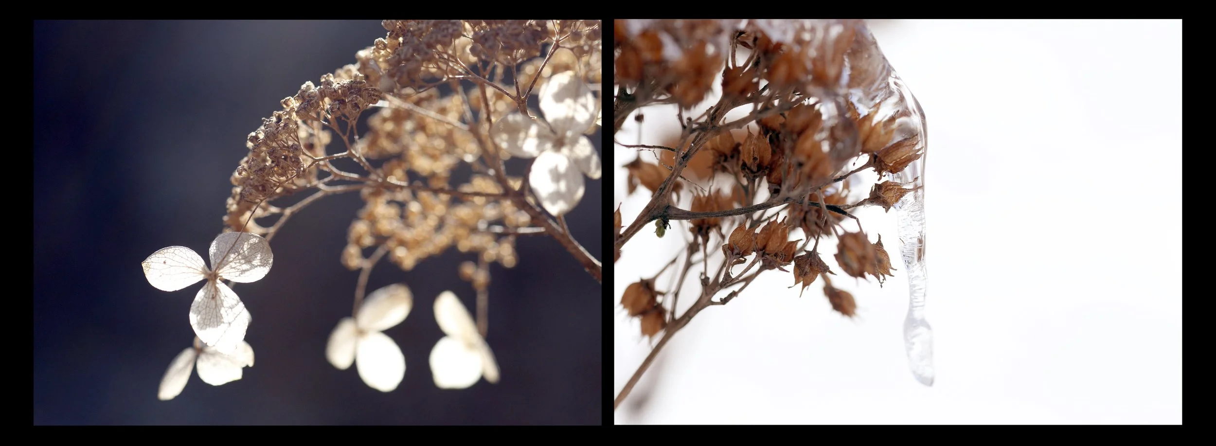 diptych border small copy.jpg