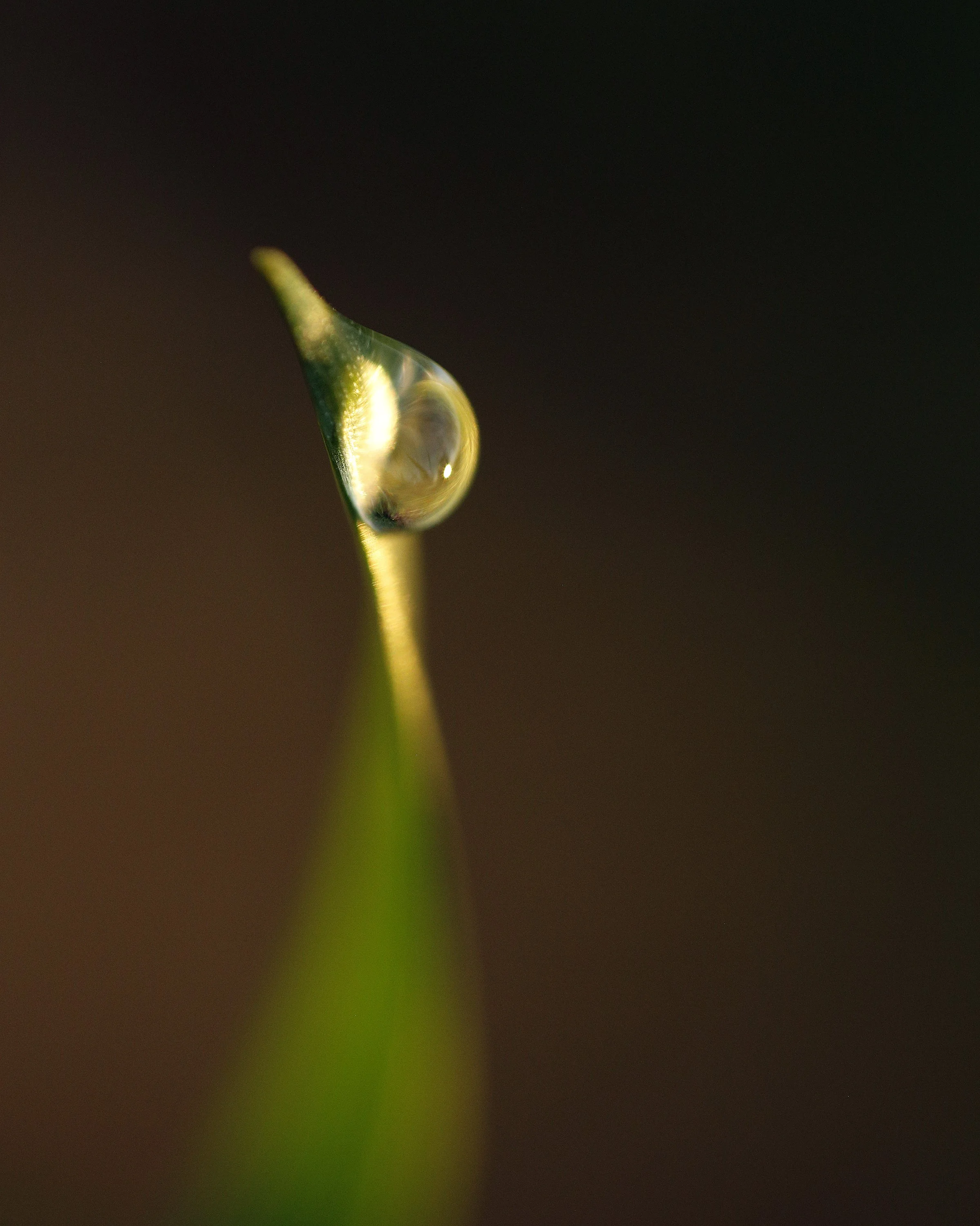 Water Droplet 2