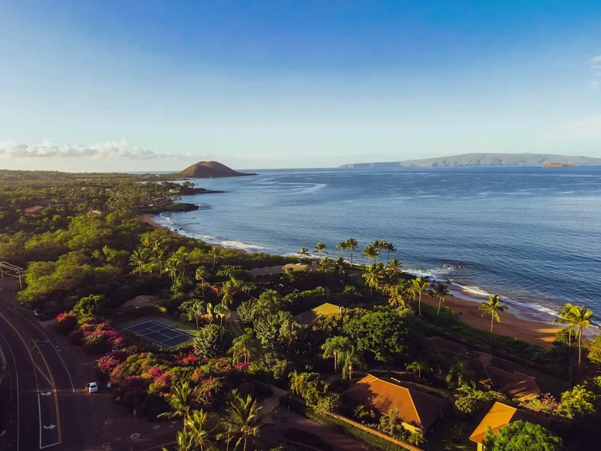 Aerial view of a tropical coastal area with a sandy beach, lush green trees, and residential houses, facing the ocean with a volcanic island in the distance under a clear blue sky.