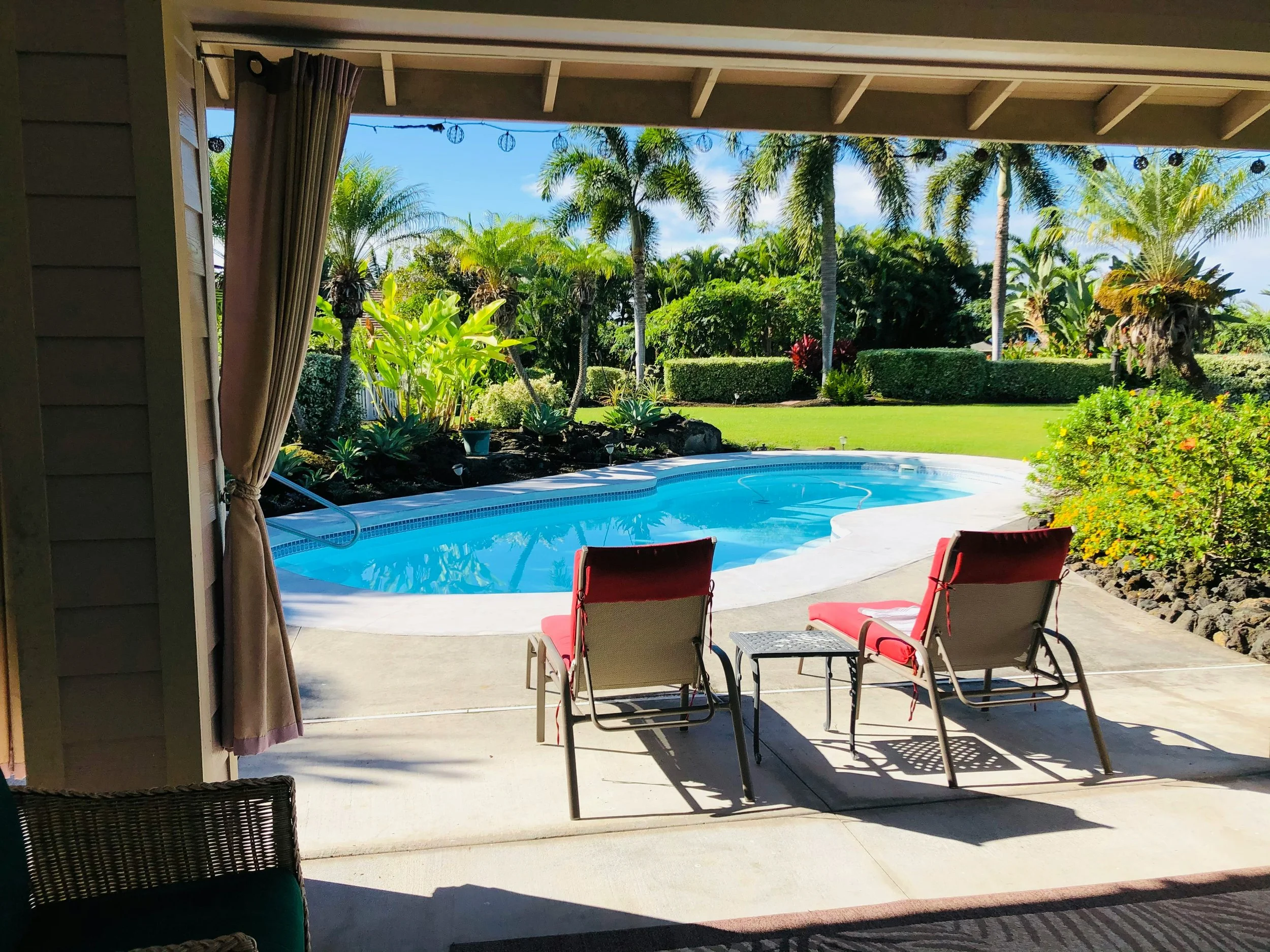 View from a covered patio looking out onto a backyard with a swimming pool, green grass, various palm trees, and plants. There are a few red chairs on the patio, curtains on the sides of the opening, and string lights hanging above.