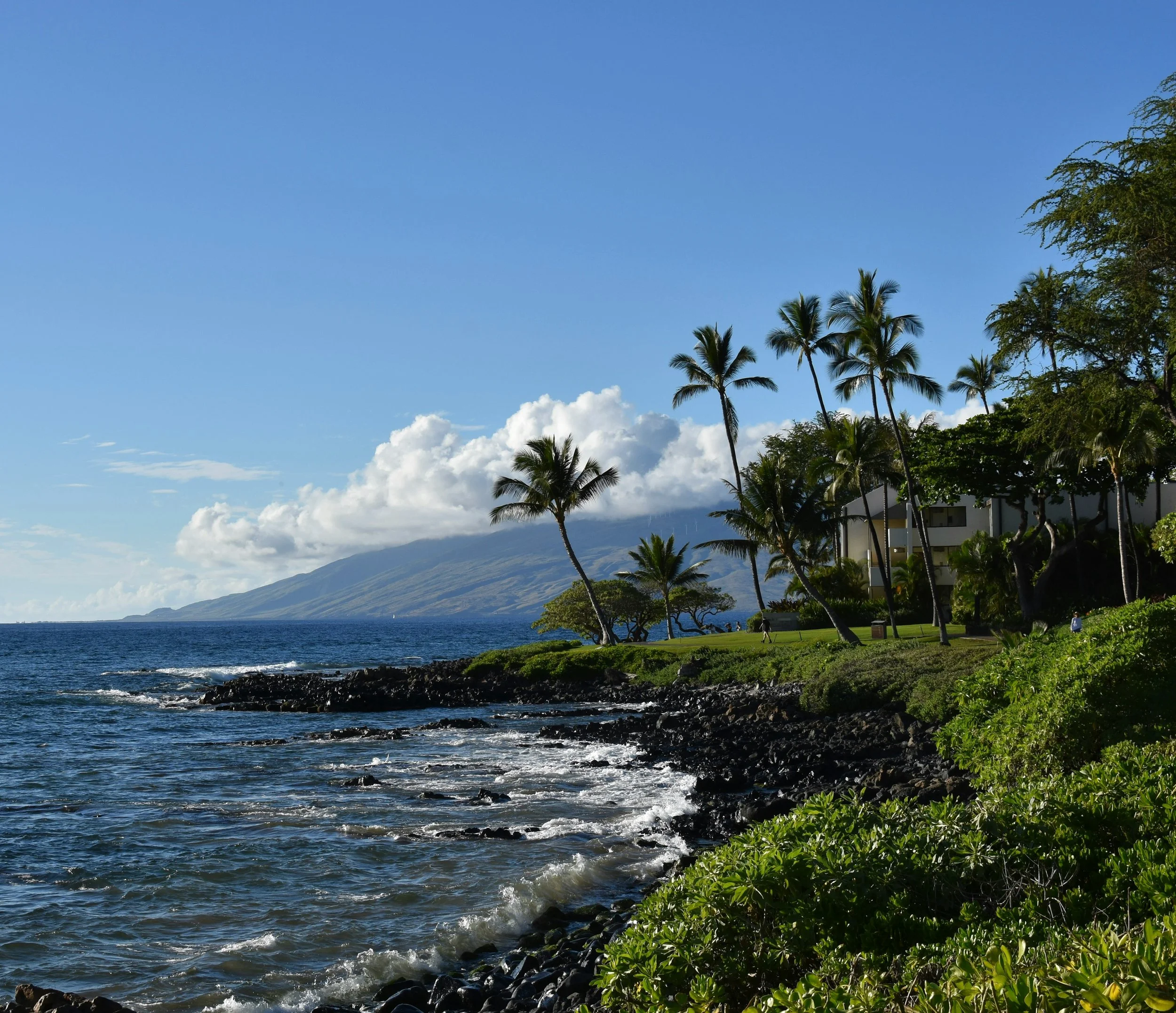 Tropical coastline scene with palm trees, lush greenery, a rocky shoreline, and deep blue ocean under a partly cloudy sky. Wailea, Hawaii.