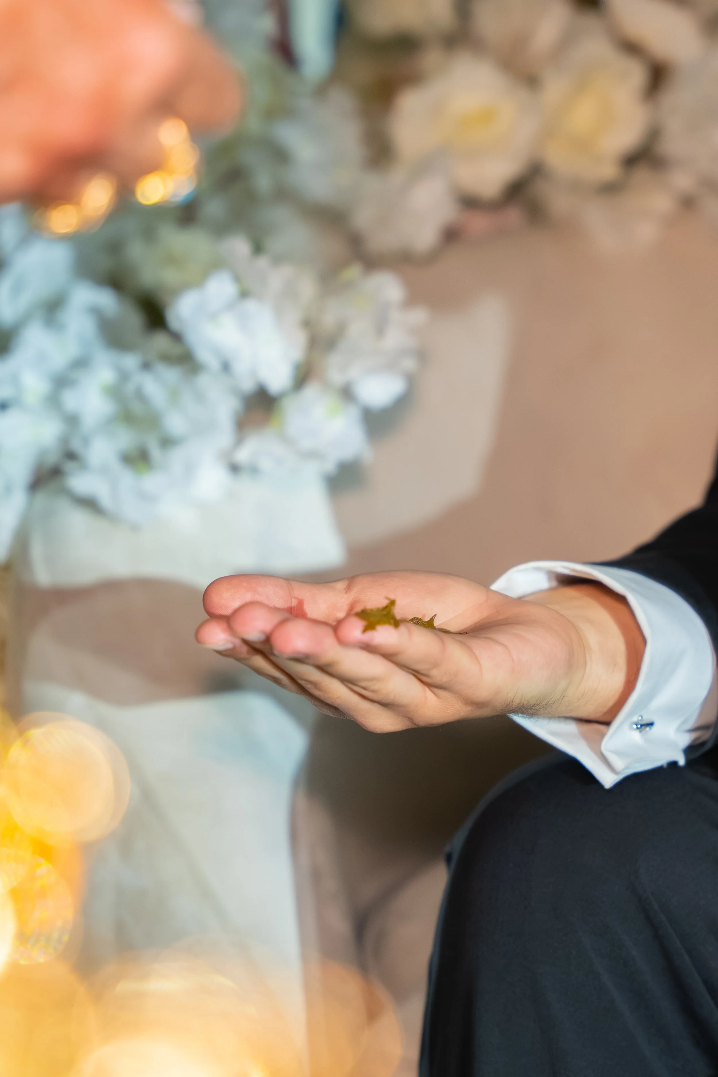 T&W Wedding-410.jpg
