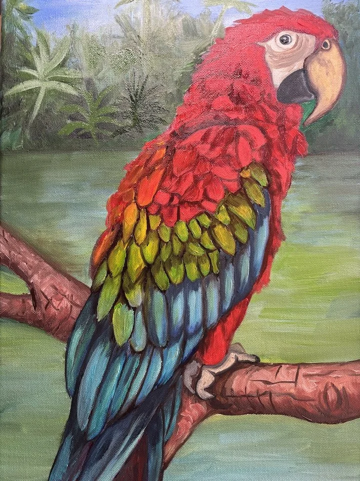 Rainforest Royalty