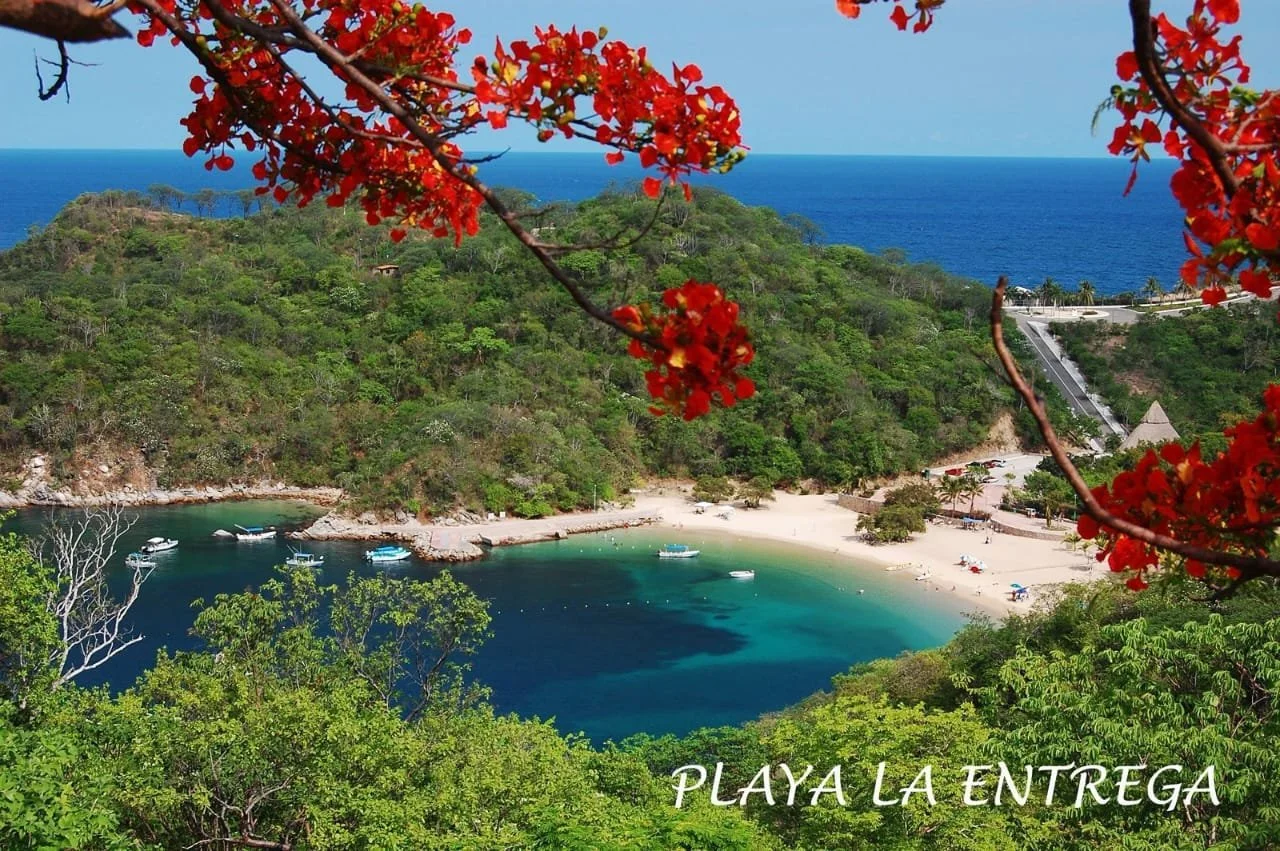Vista aérea de una playa con sombra de árboles con flores rojas en primer plano, aguas claras y barcos en la bahía, colinas verdes y el mar al fondo, con texto que dice 'PLAYA LA ENTREGA'.