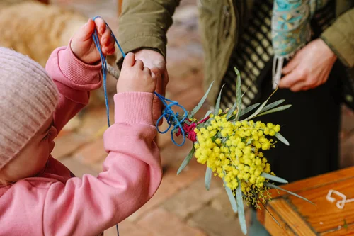 Family Experiences at Little Tree