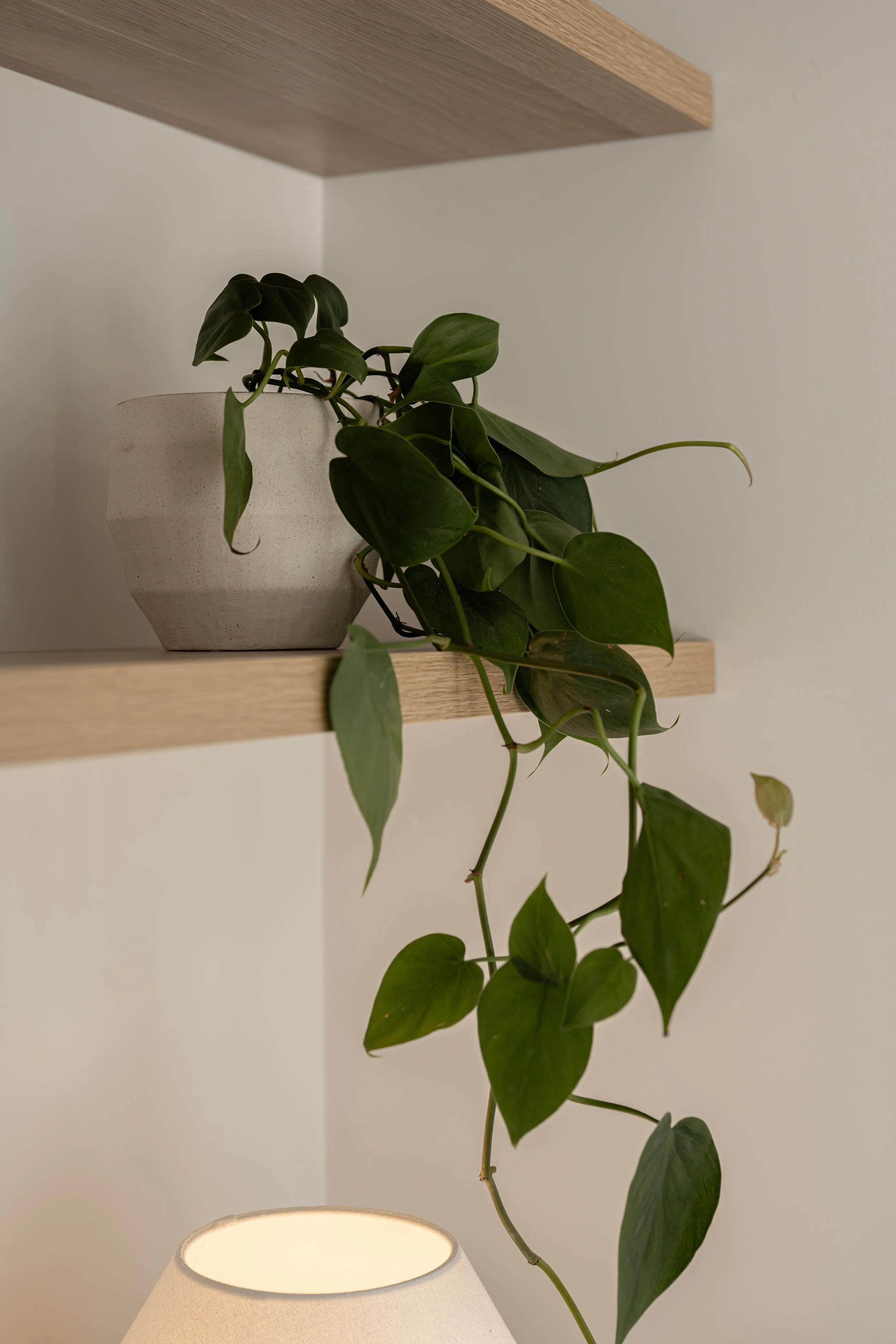 MRP_6577.JPG