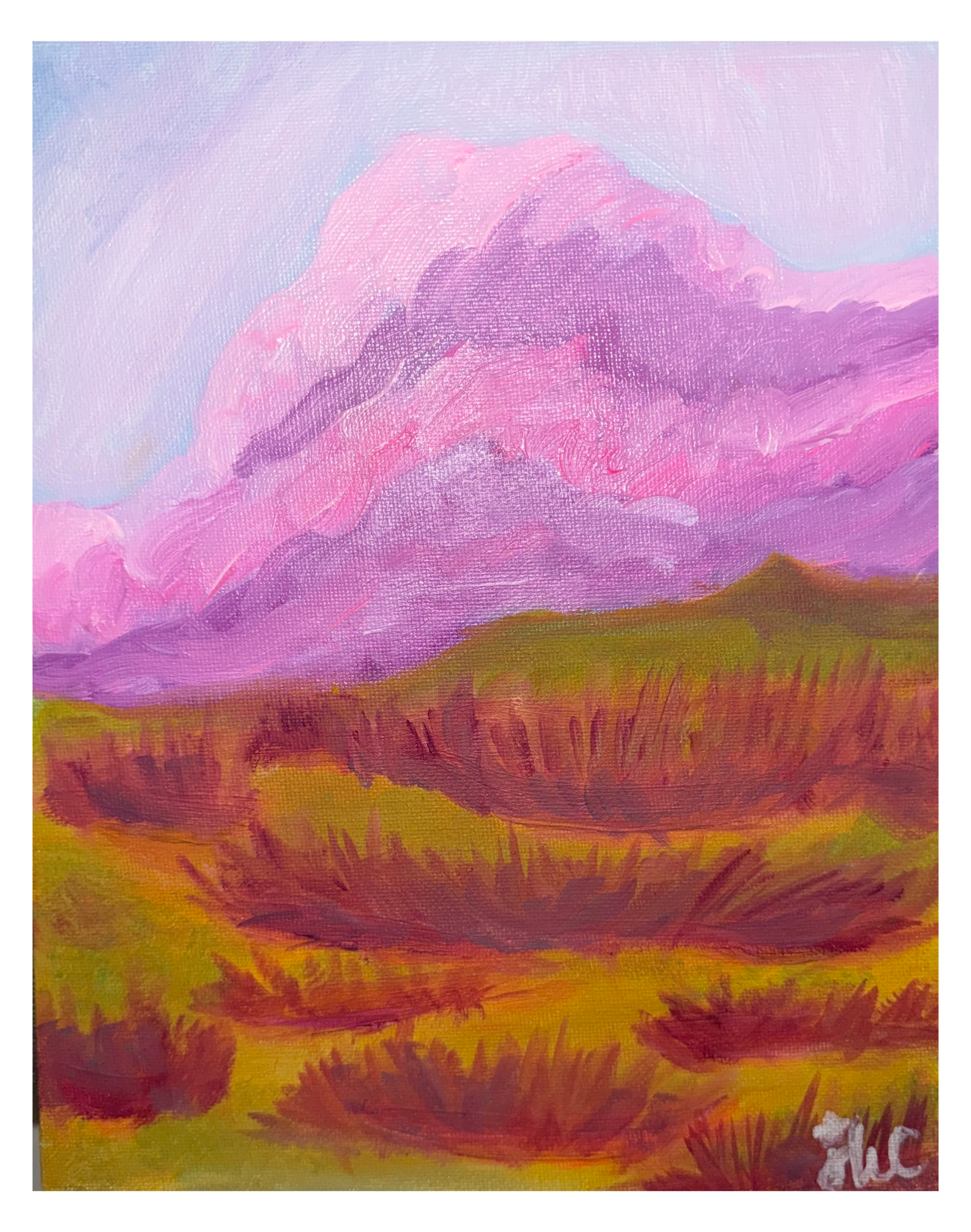 Pink Clouded Field (Print)
