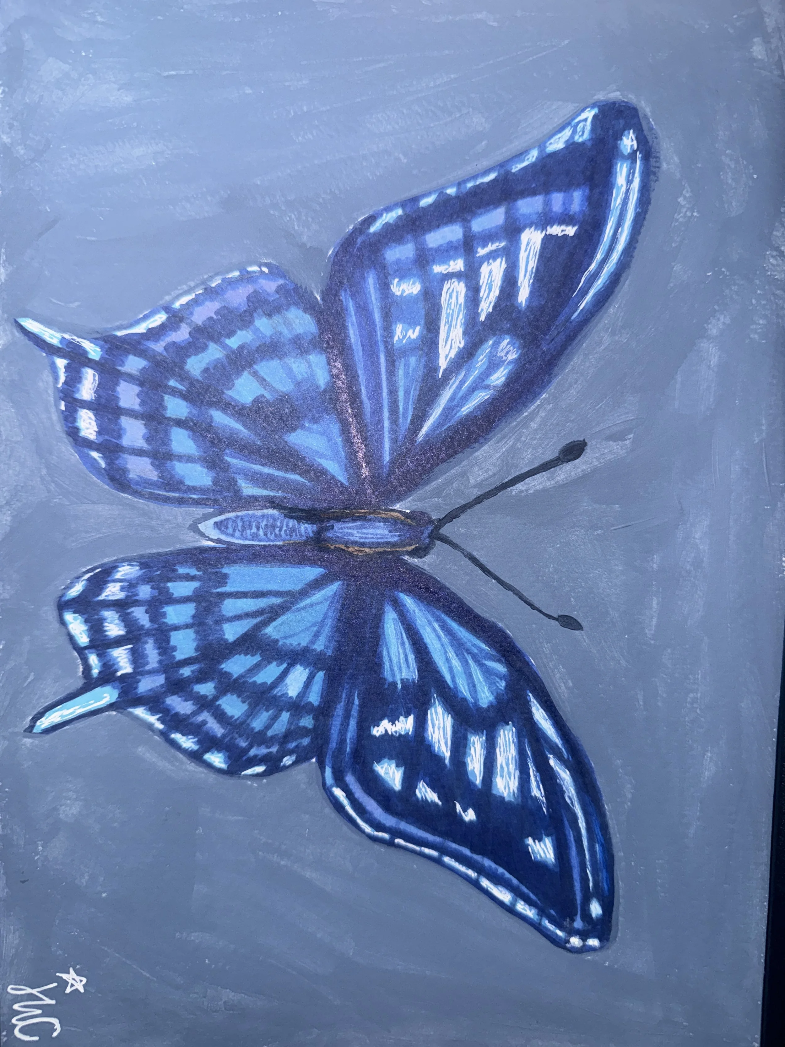 Whimsical Butterfly.jpeg