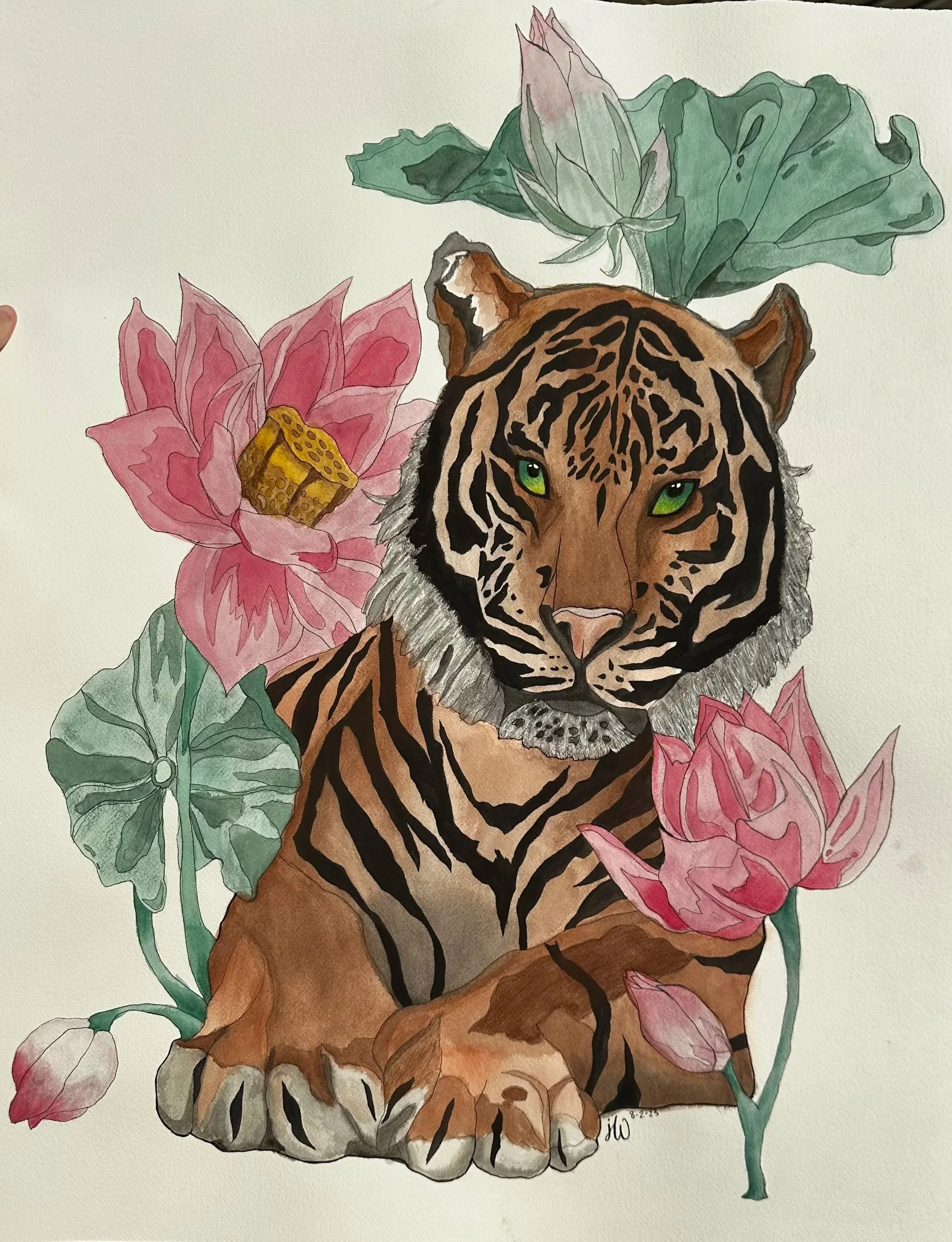 Watercolor painting of a tiger with bright green eyes surrounded by pink lotus flowers and green leaves, with a signature and date at the bottom.