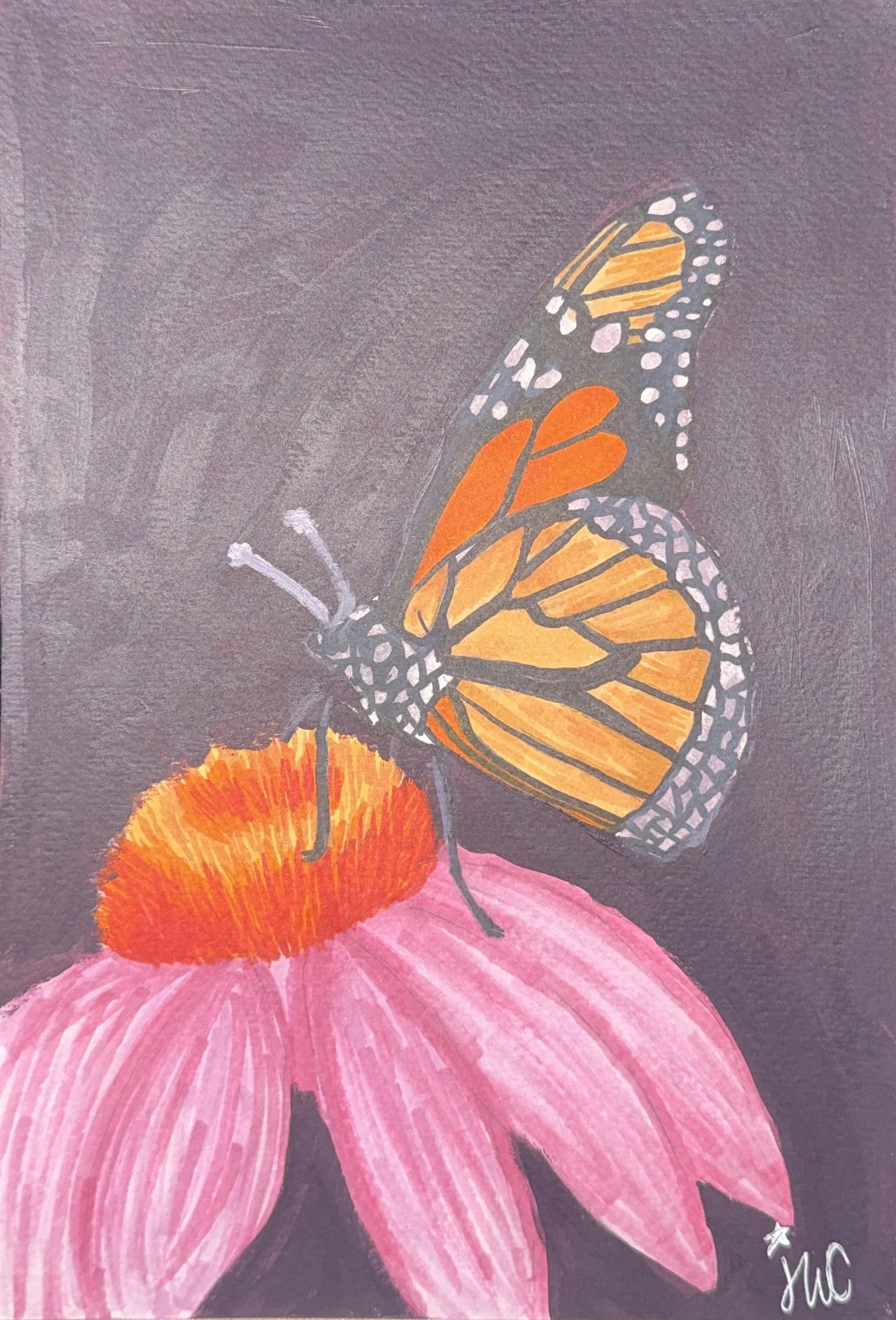 Elagant Butterfly.jpeg (Copy)