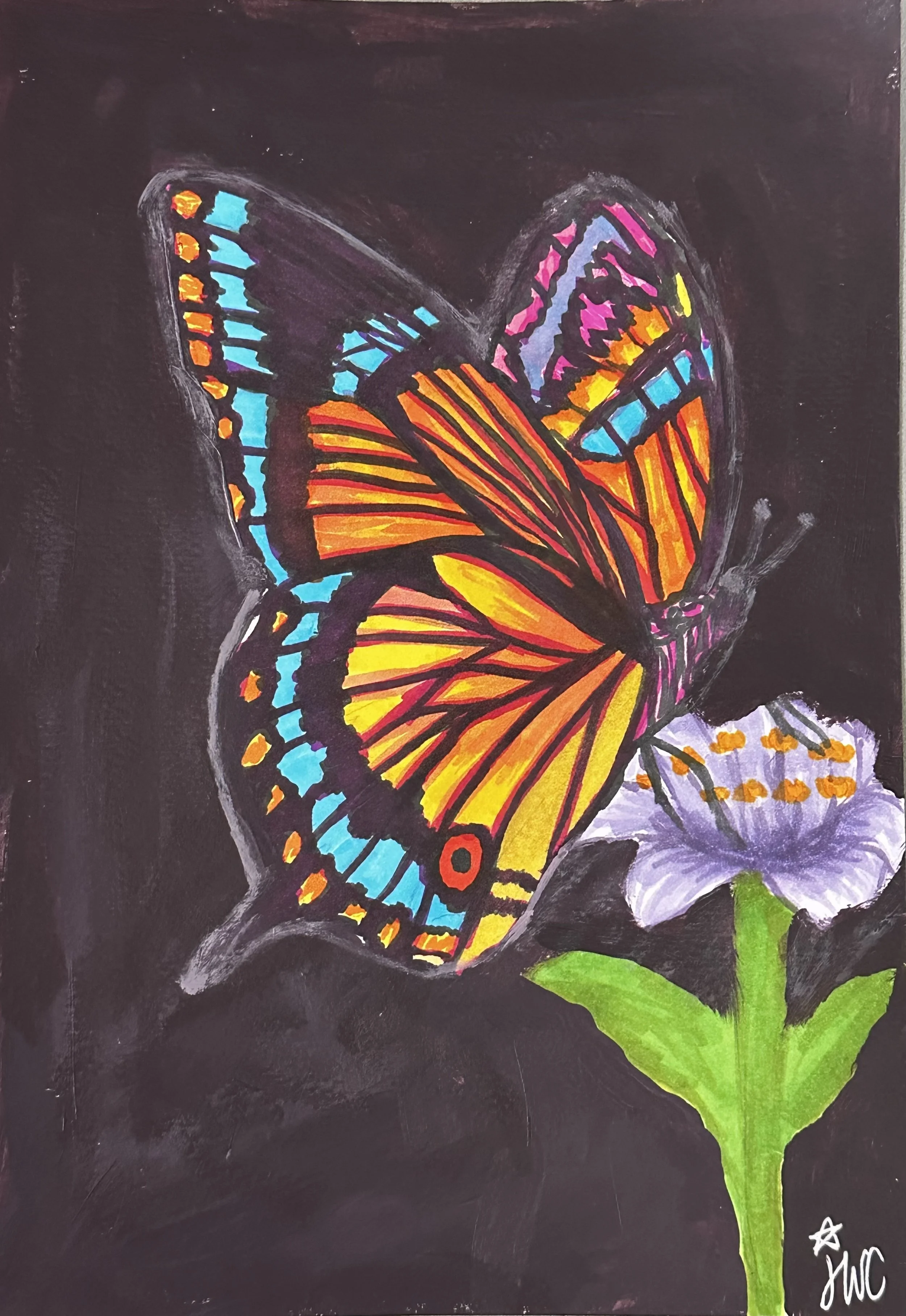 Precious Butterfly.jpeg (Copy)