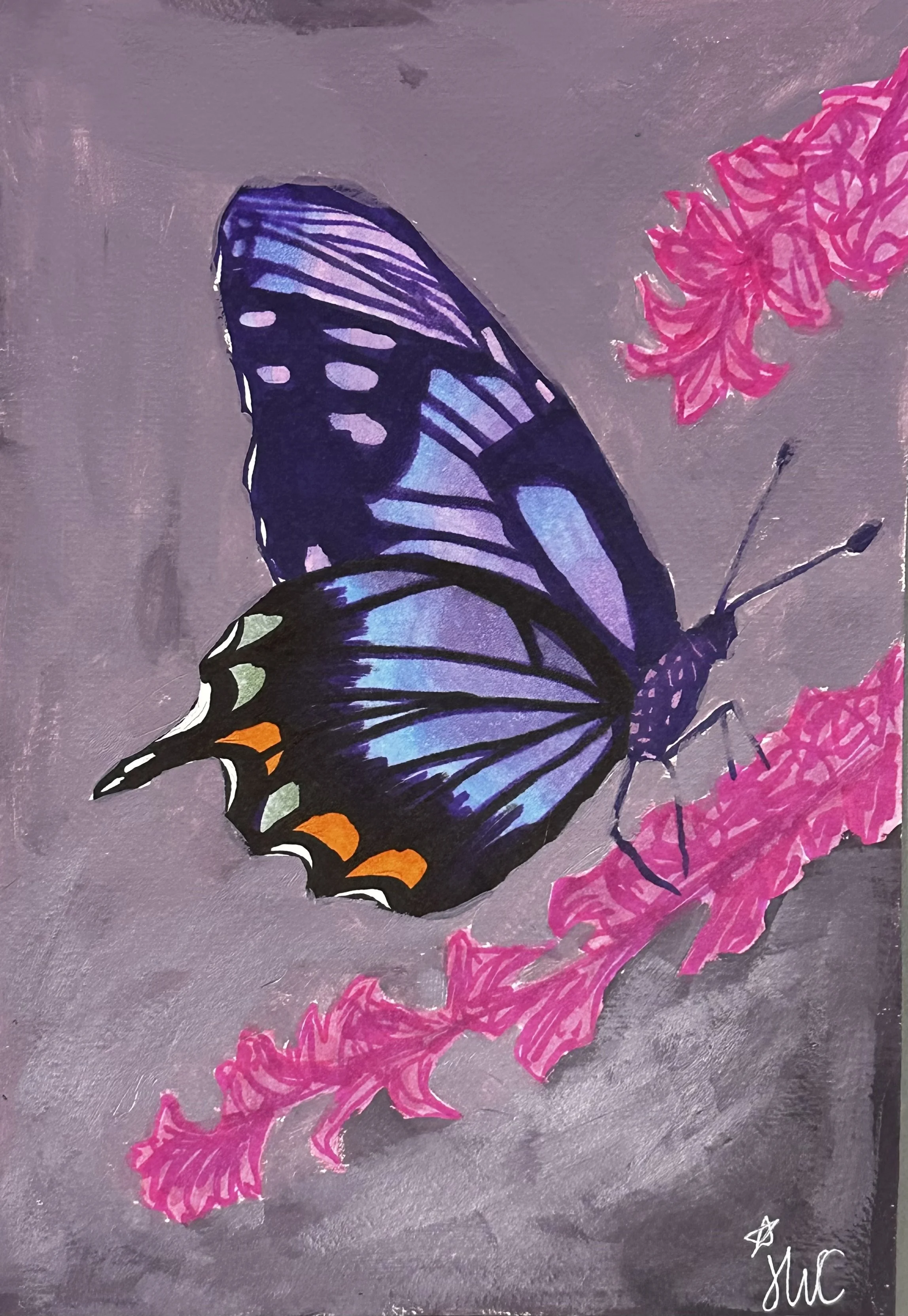 Beautiful Butterfly.jpeg