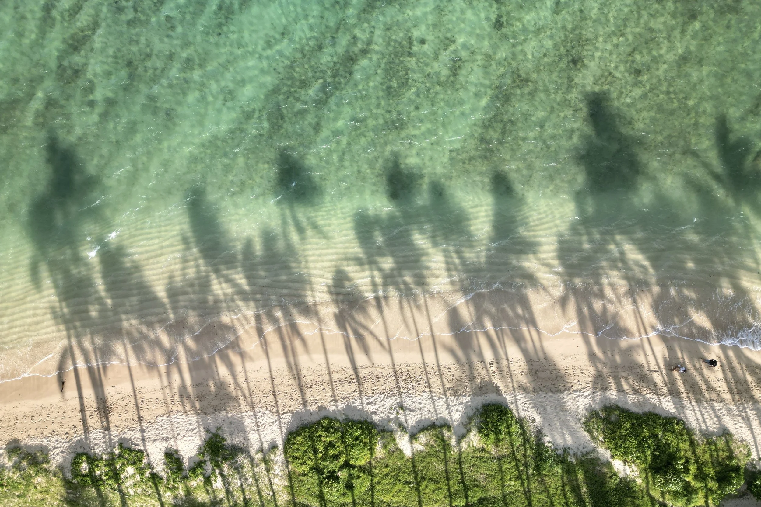 dji_fly_20240701_171540_751_1719899574214_photo 3.jpg