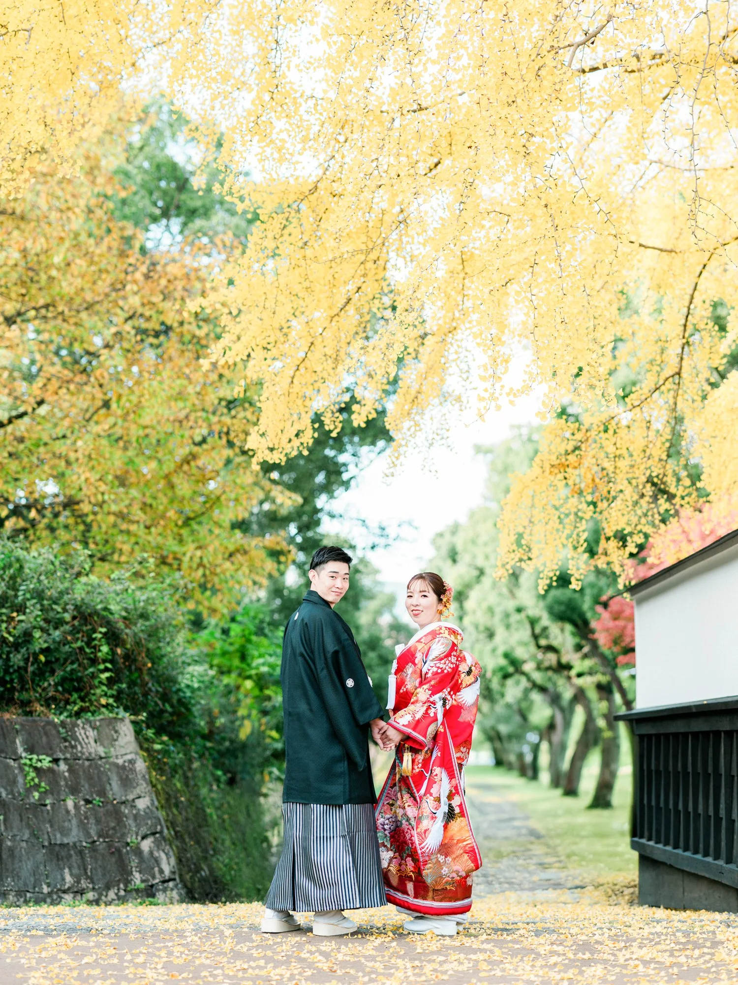 黄色のイチョウの葉が舞う中、伝統的な着物を着た若い夫婦が手をつないで歩いている写真。