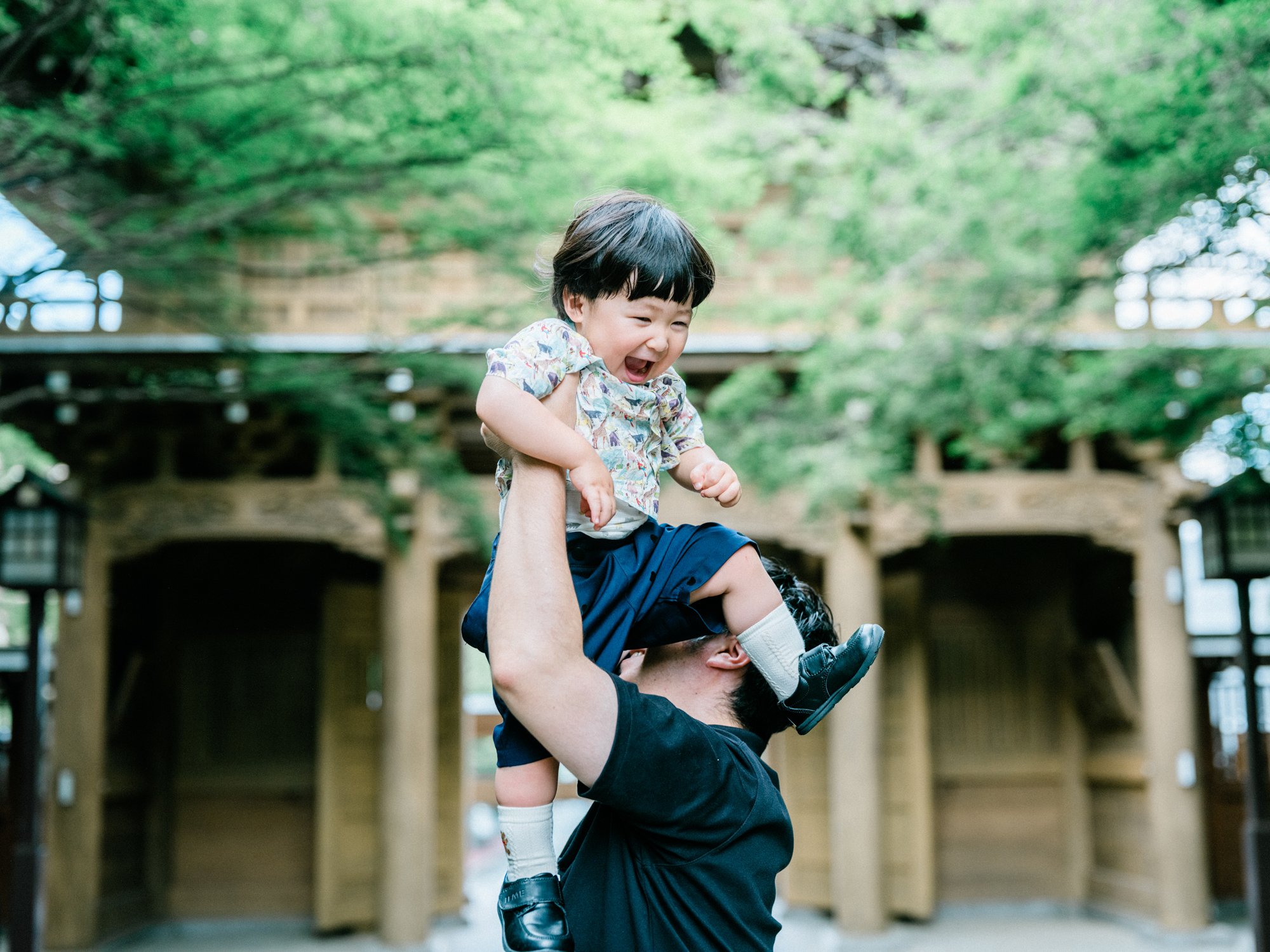 男の子を肩車している男性の姿、緑の木々の中、神社で遊ぶ親子の様子。