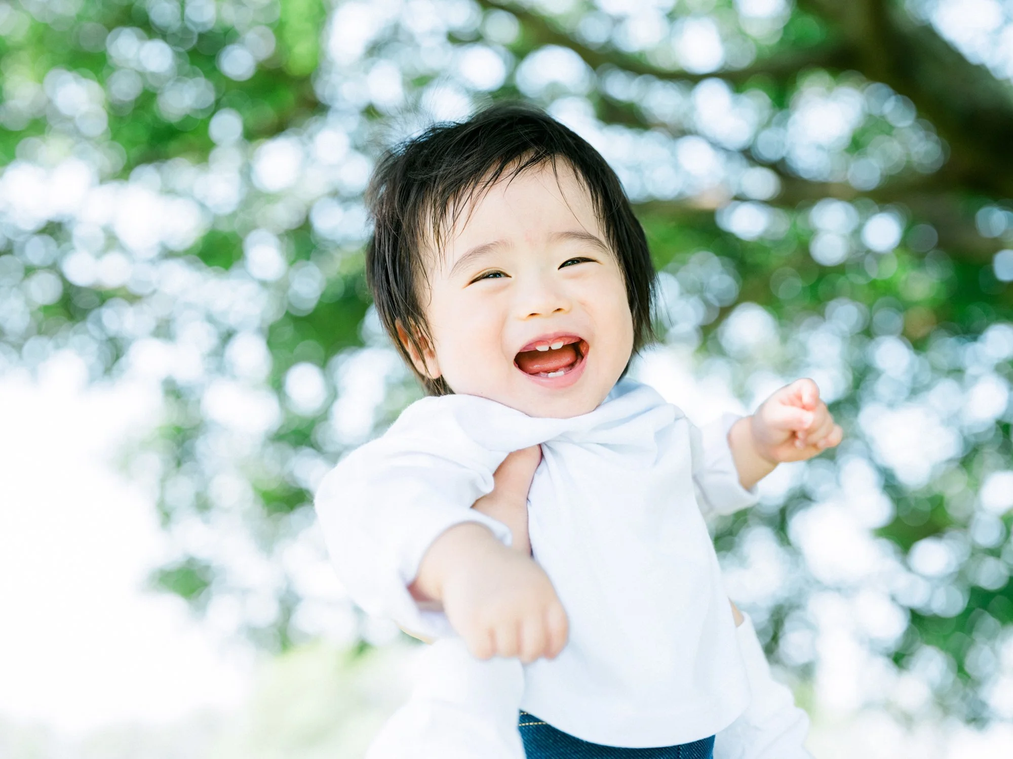 笑顔の幼い男の子。背景はぼやけた緑と白の木や空の景色。