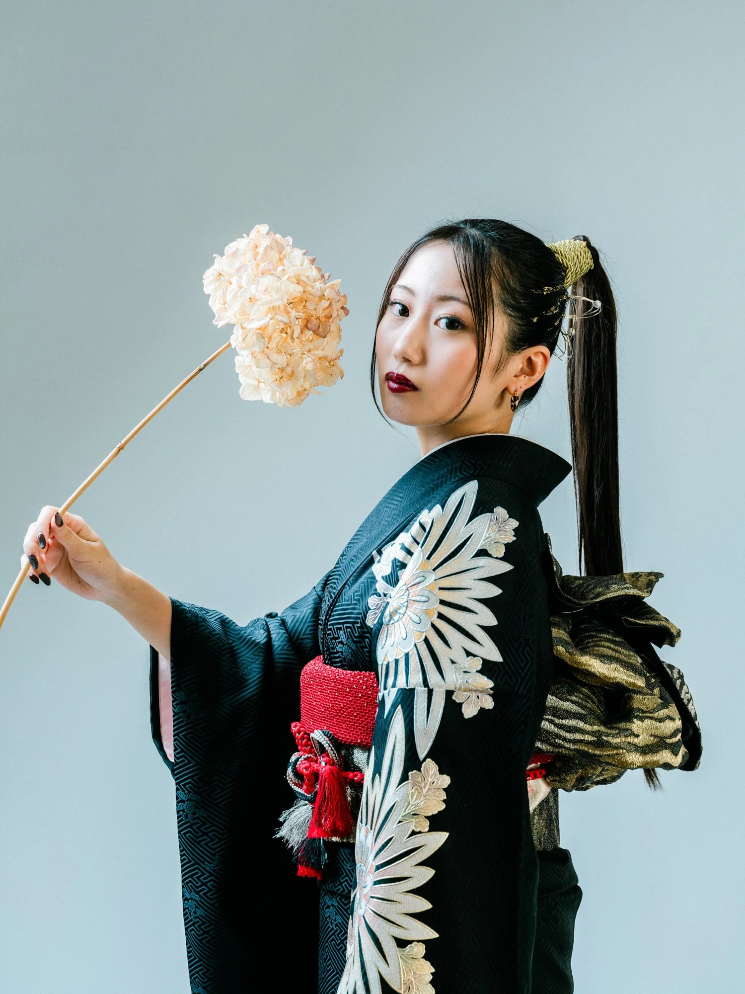 伝統的な黒地の着物を着た女性がドライフラワーの紫陽花を持ち、背景は薄いグレー。