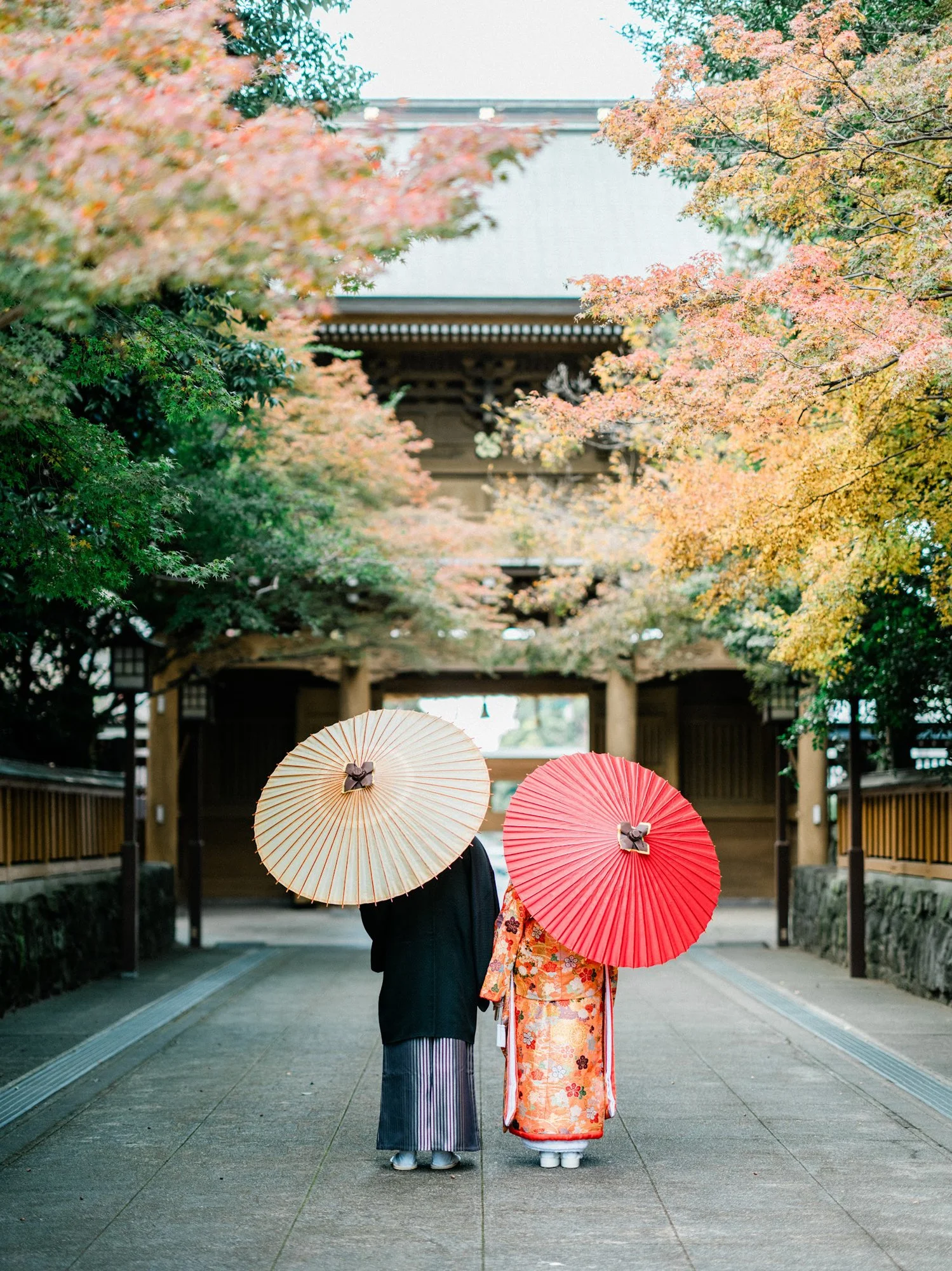 日本の神社の前で着物を着た夫婦が傘をさして歩いている。