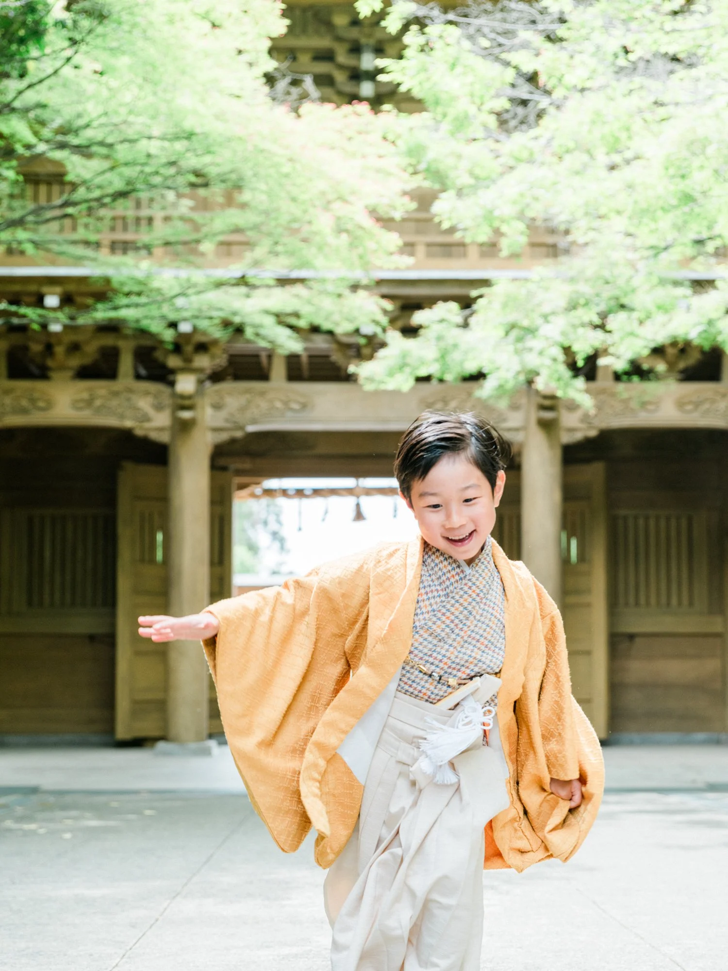 子どもが金色の着物と羽織を着て、踊っている。神社での七五三の写真。