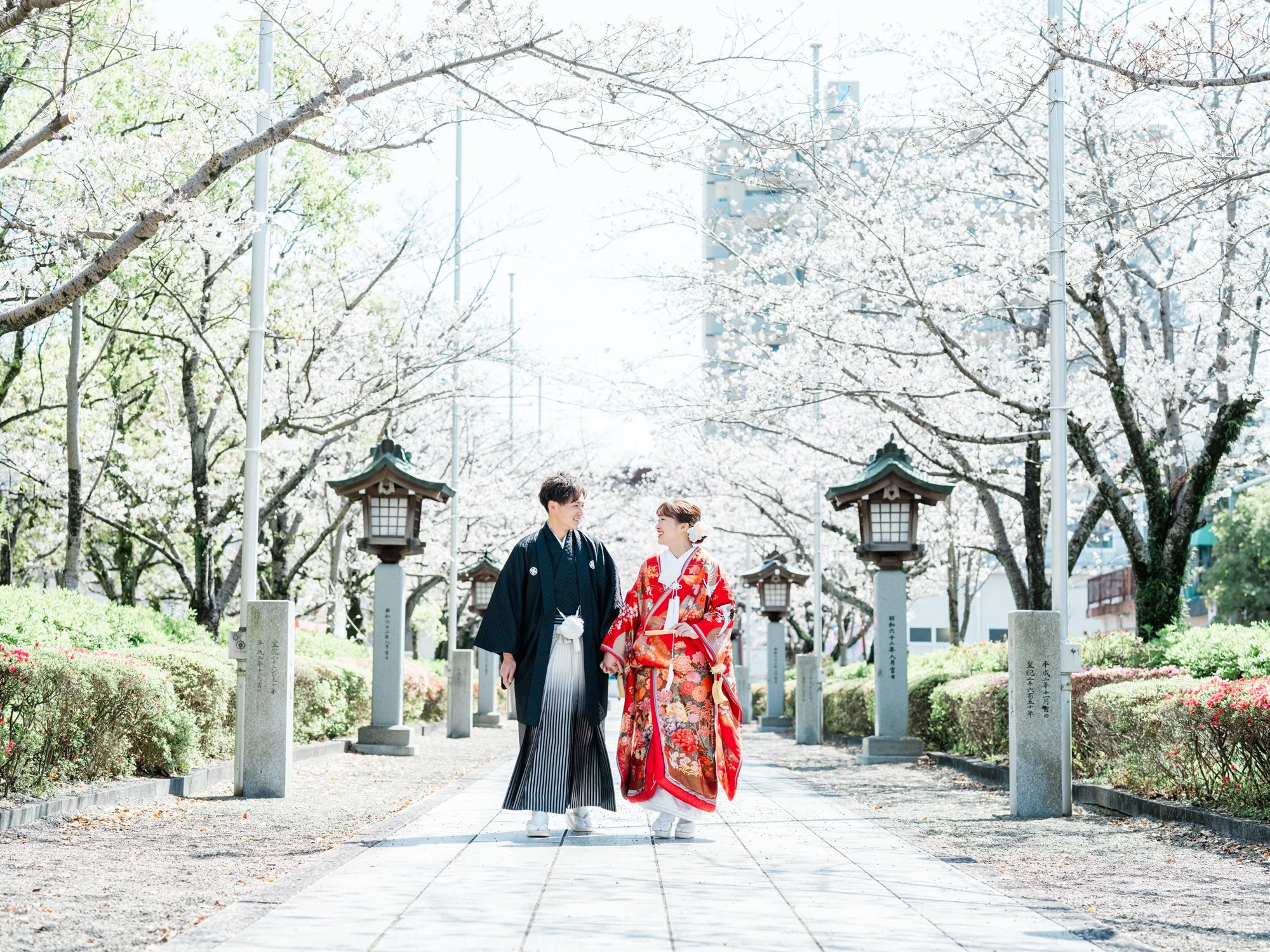 桜の木の下で和装姿のカップルが散歩している。